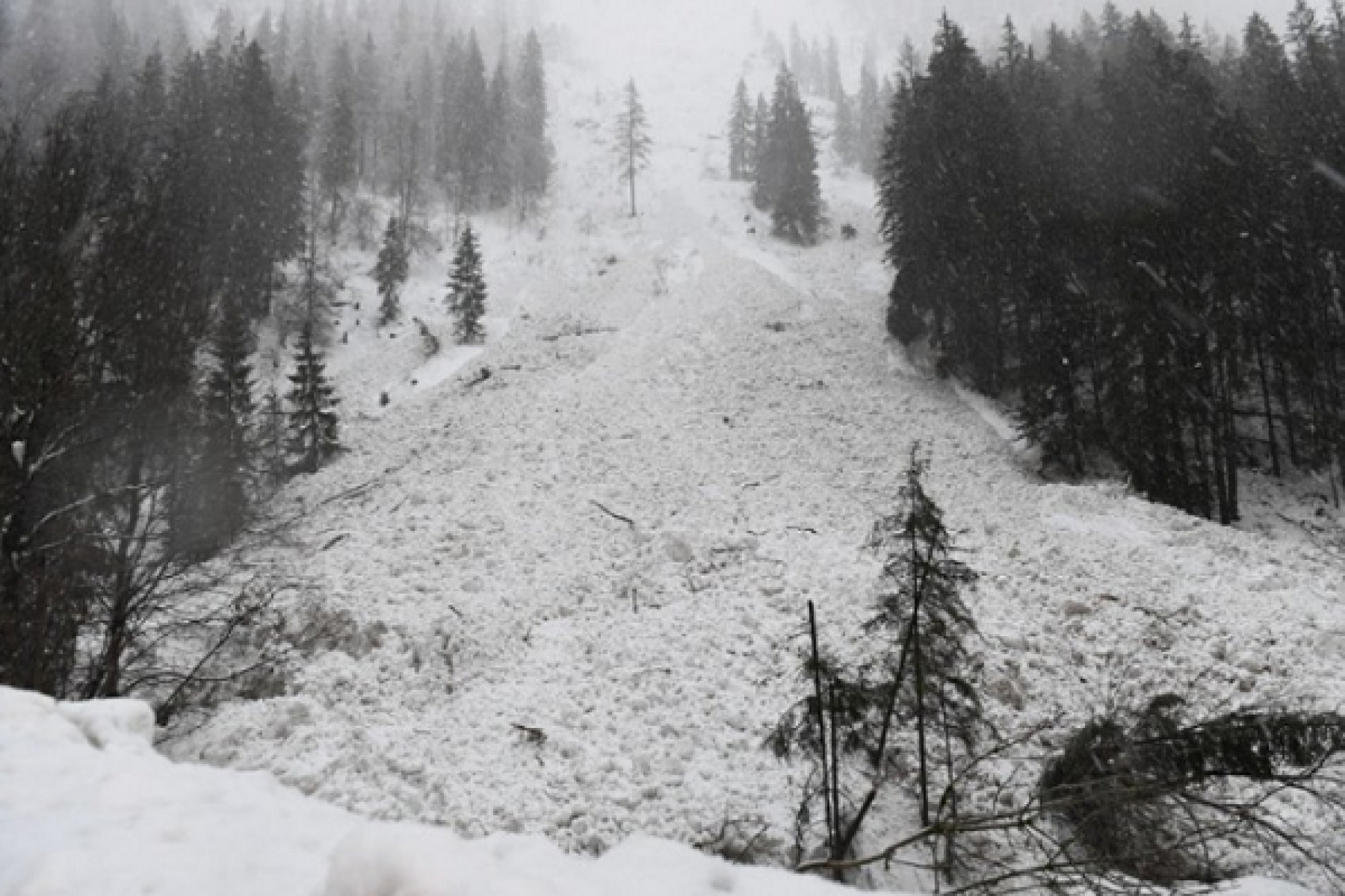 media-library2a7mqv5osjjl9nUl3HE