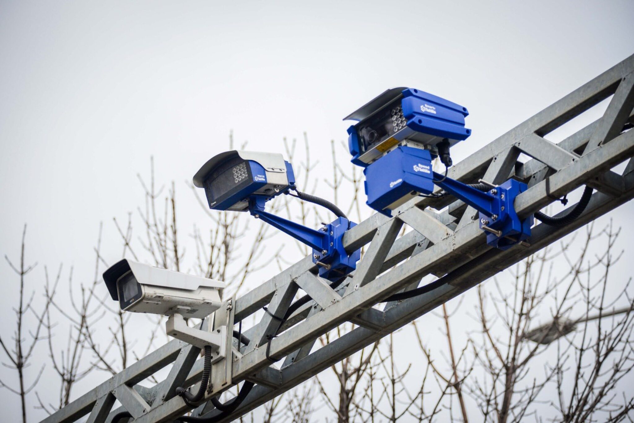 media-libraryuorm5rg4lhh68fwu8X9