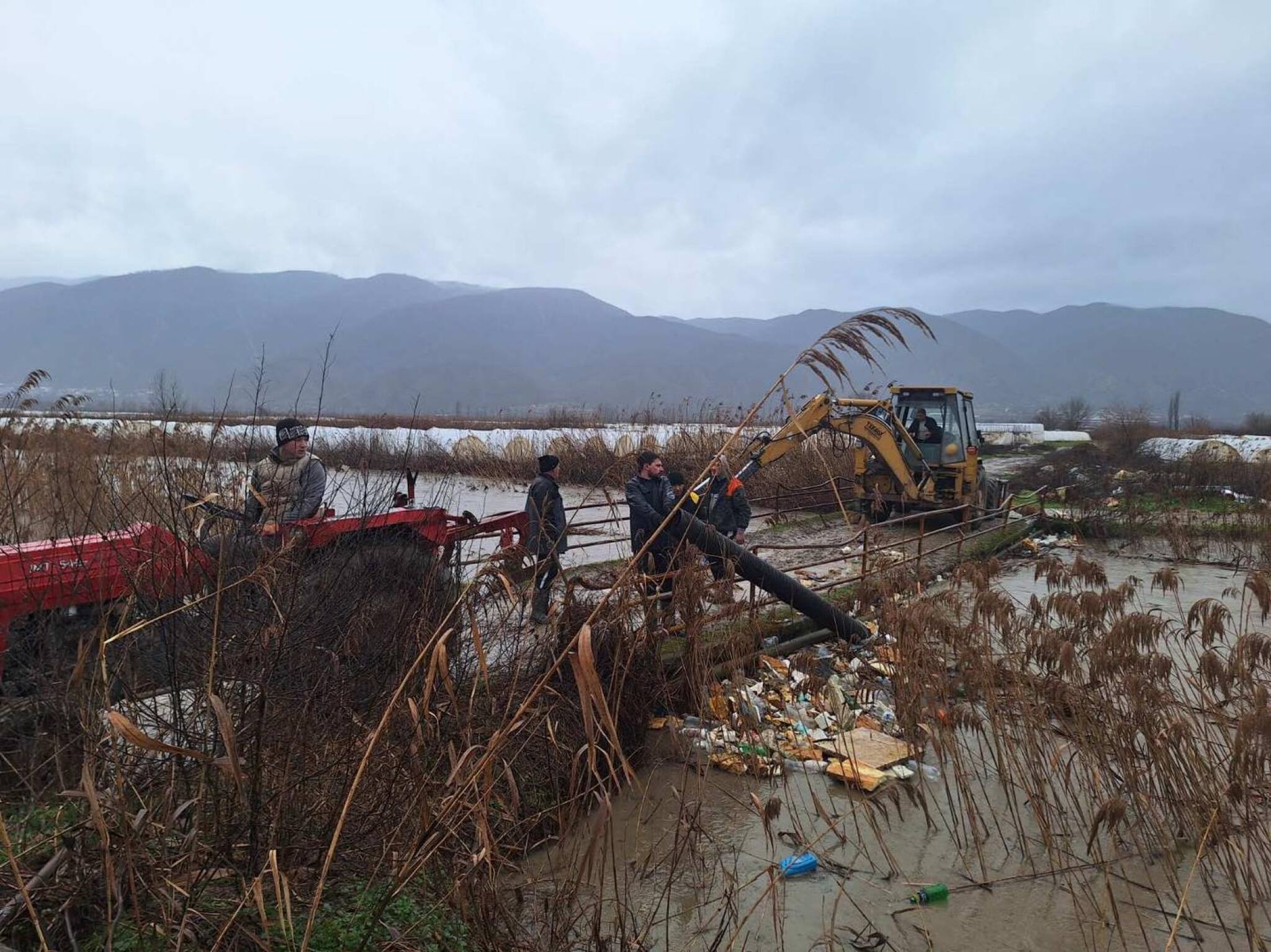 media-librarybkpmnv6ui96l0YDdl36