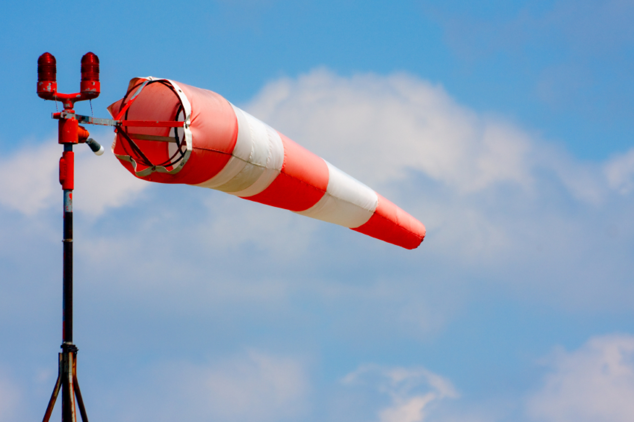 media-libraryanirg3rpcut99GGzyoZ