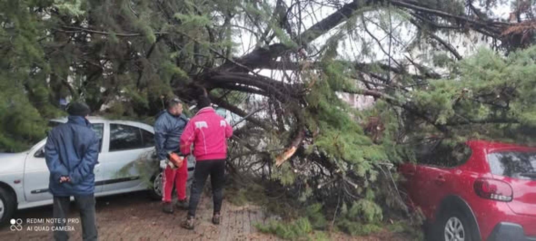 media-librarynjrrs1kmbllp2R5ckdw