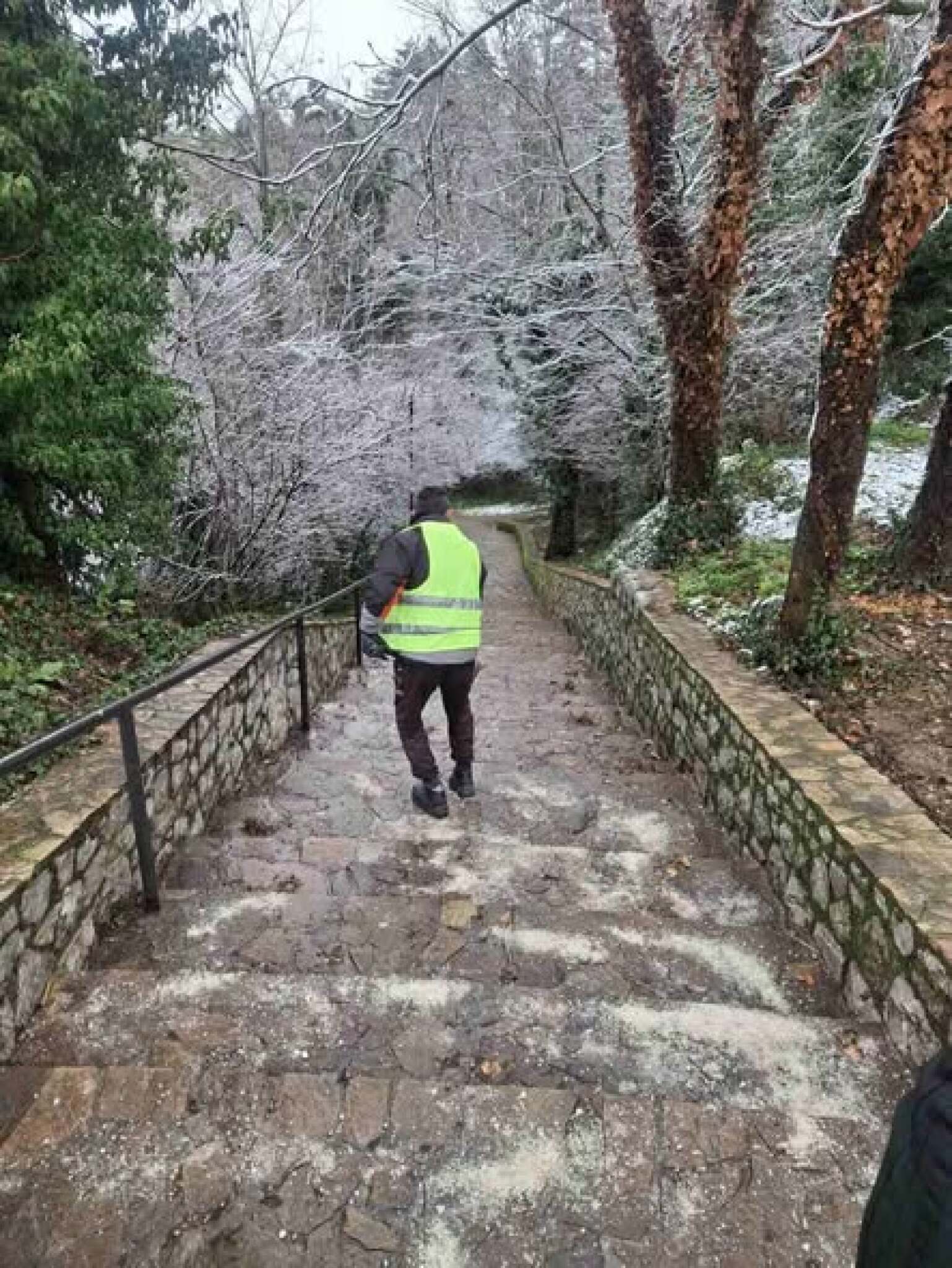 media-libraryano34m249etg6EultSm