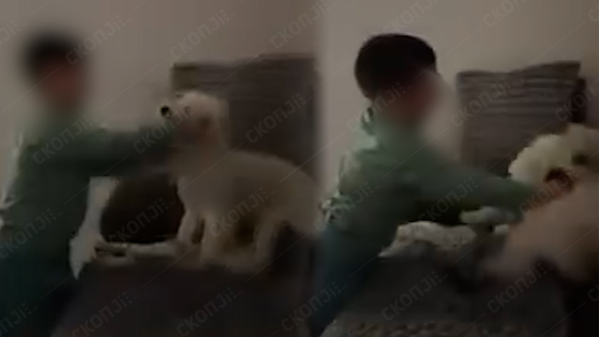 media-libraryhl8o1r5650eechoLTmi