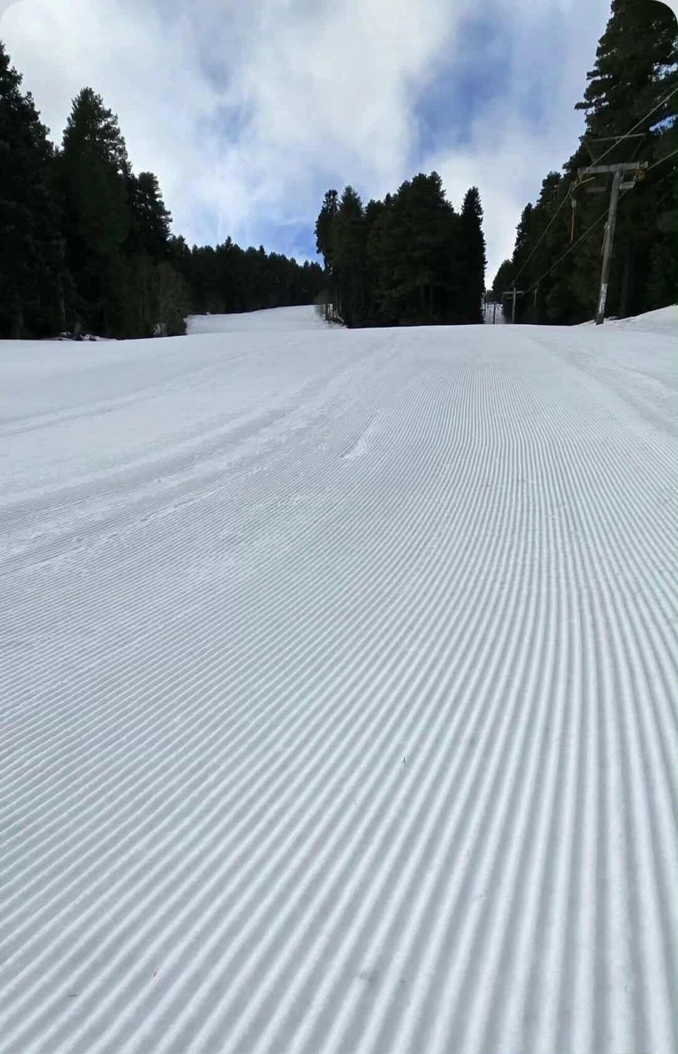 media-librarytsnm6o22main9zyrWna