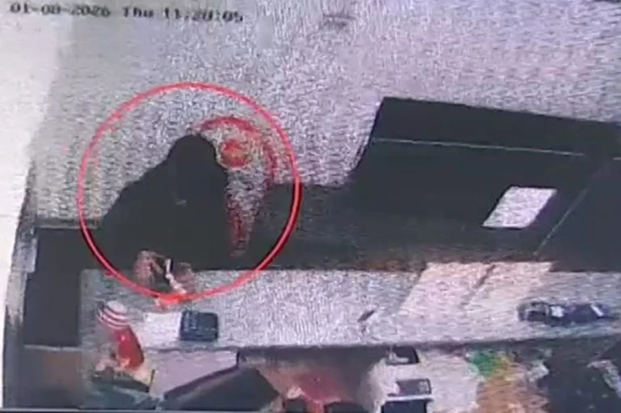 media-library0obe467geqredcjT49P