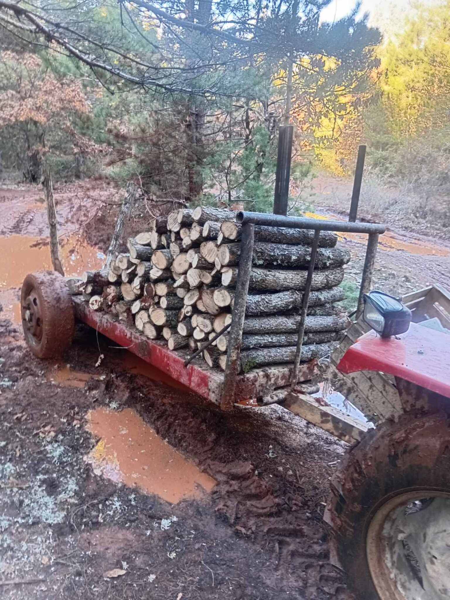 media-libraryjd2clltsdmf82oLNsmL