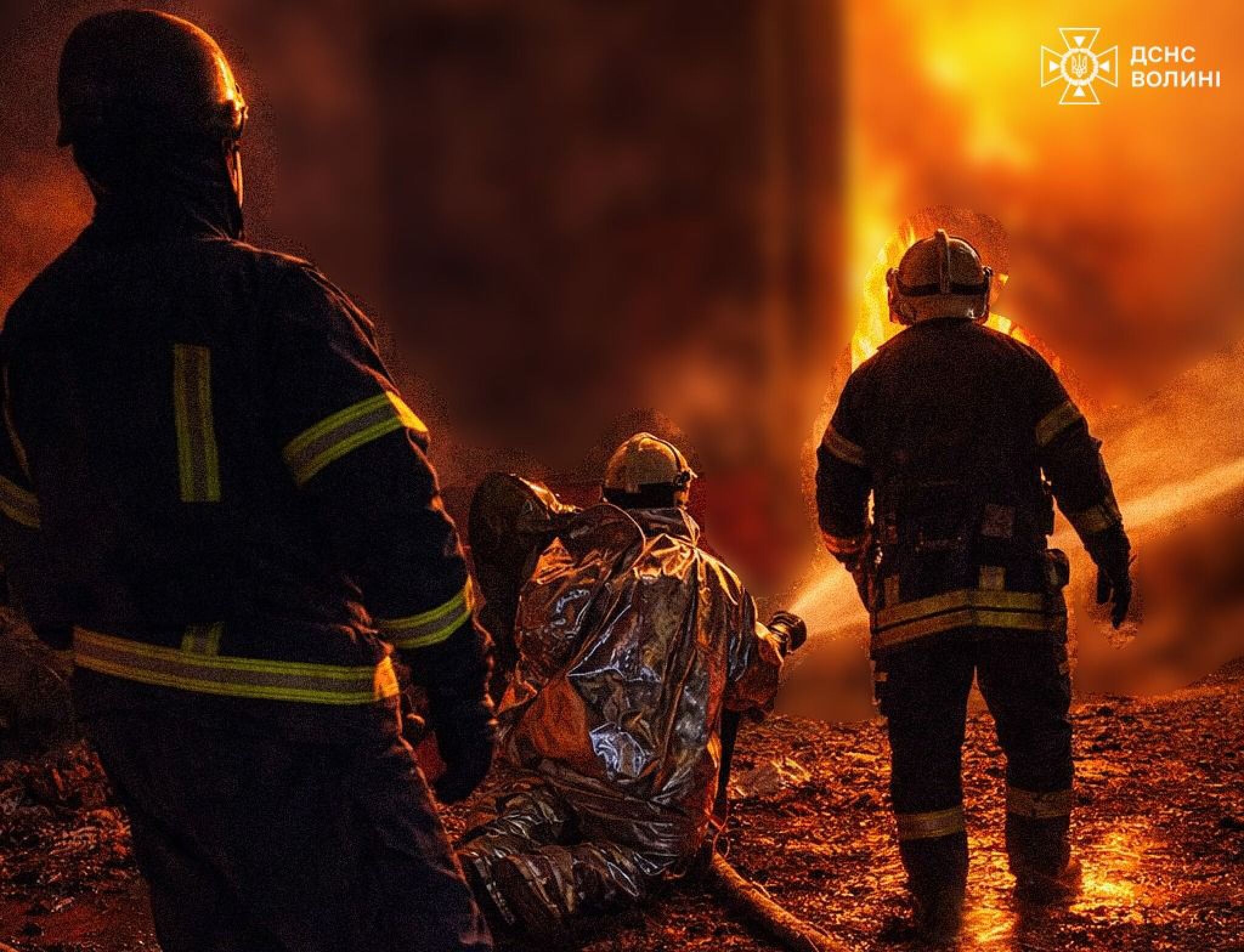 media-library0s99ieppvlg1dWOtv48