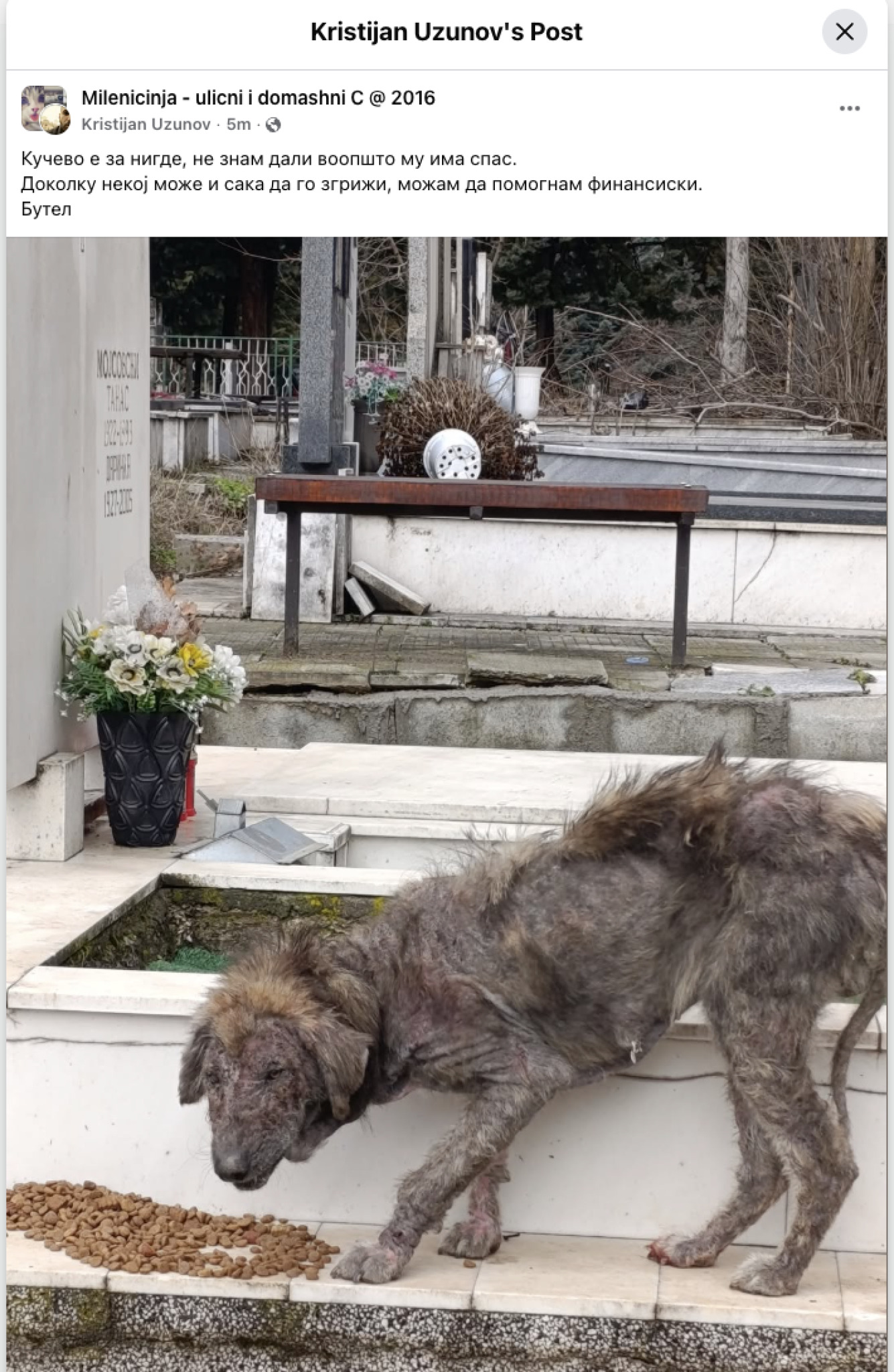 media-libraryptnicgt4jdn6auqxD1K