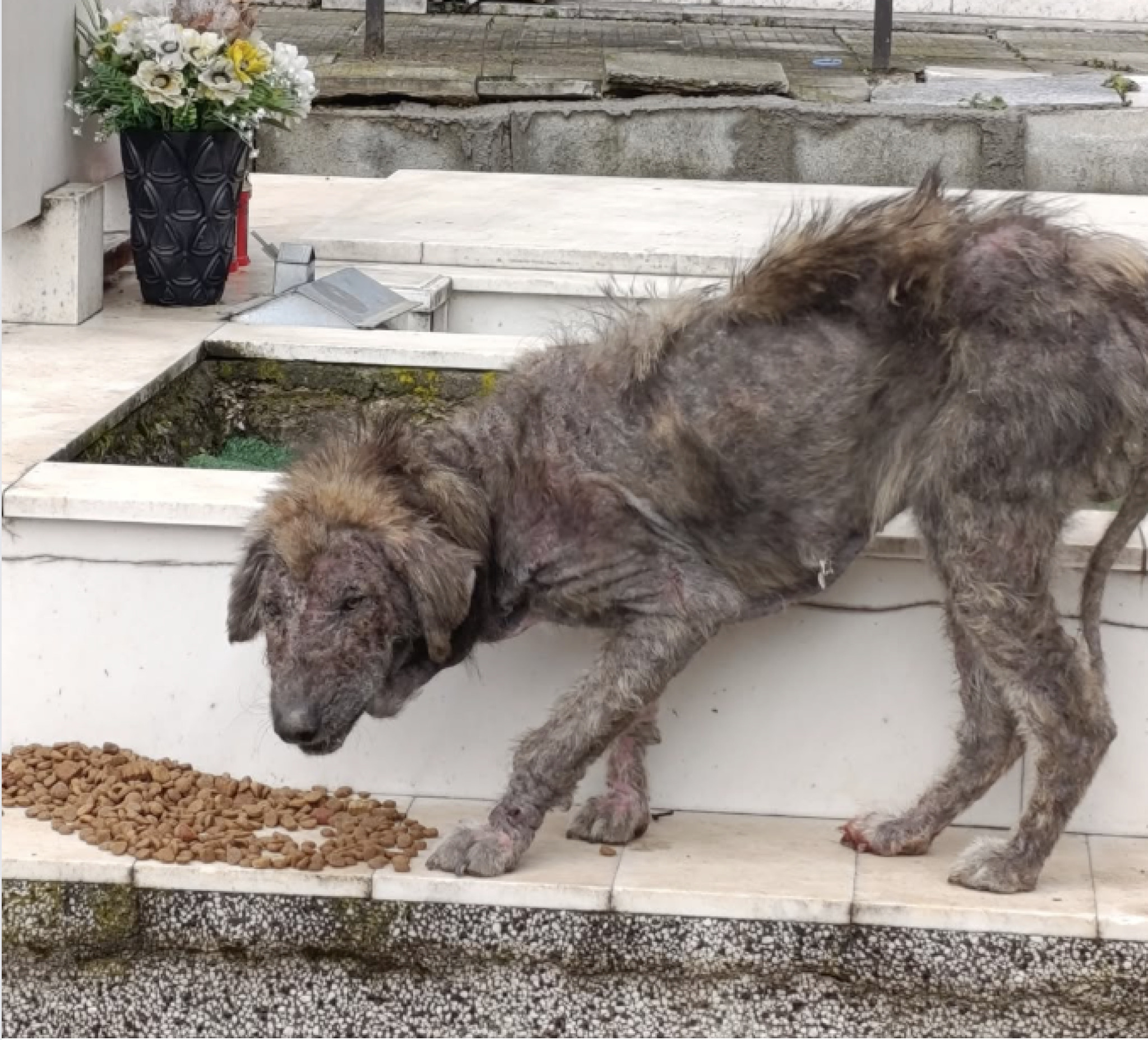 media-library3i4jfhm0ipkvb0WV3t5