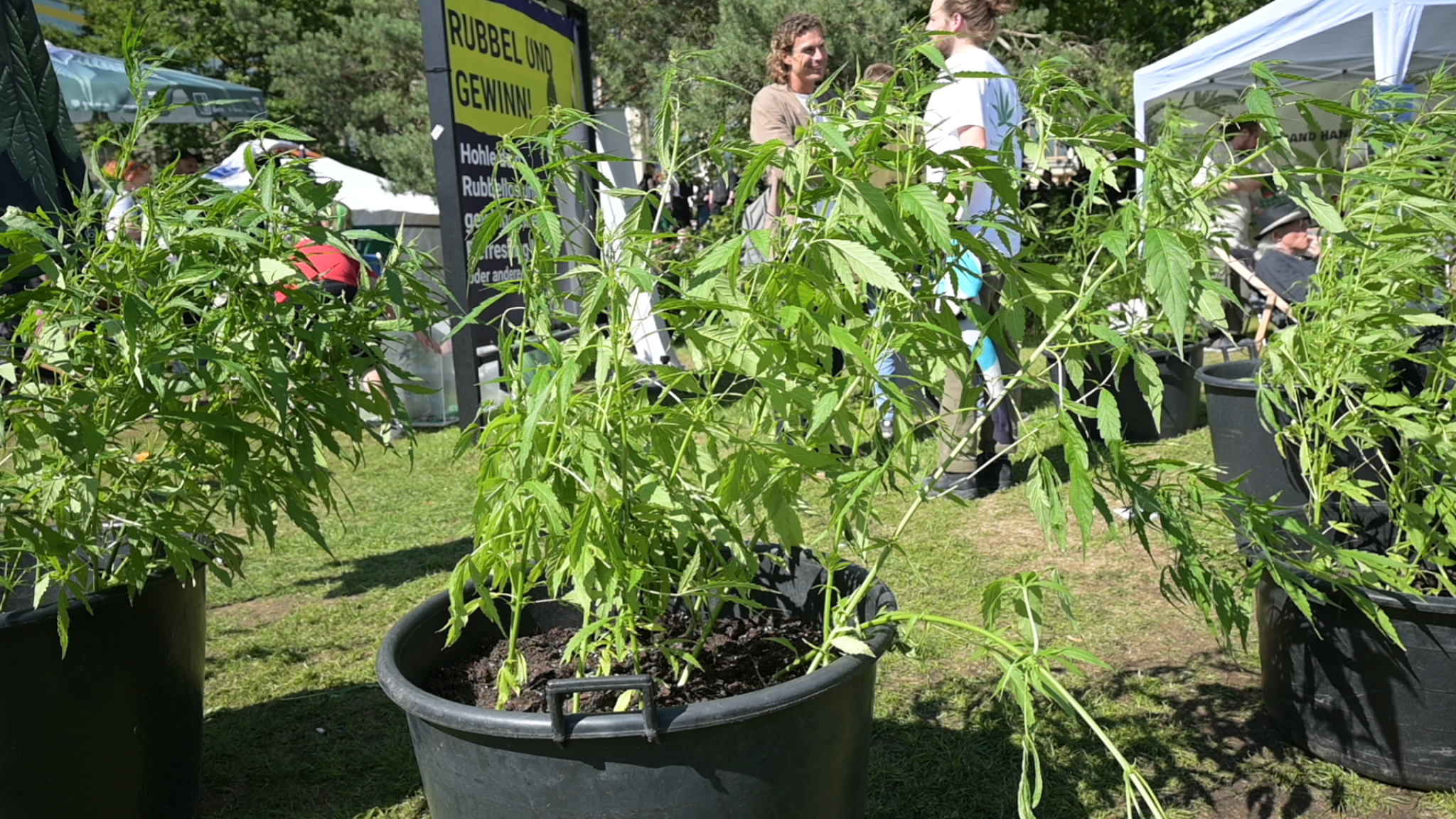 media-libraryo5s4n44pvfppcTPItUp