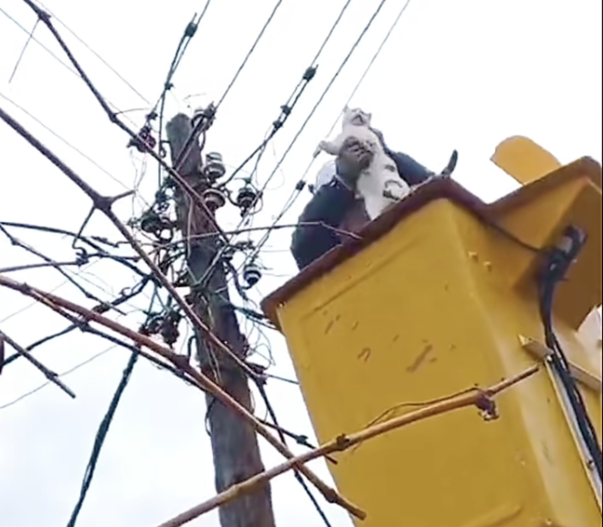 media-library0ah8330nv4i79Jkev5M