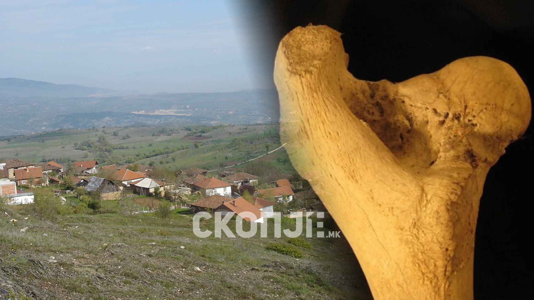 media-library2adqb56toekhb8jfoRk