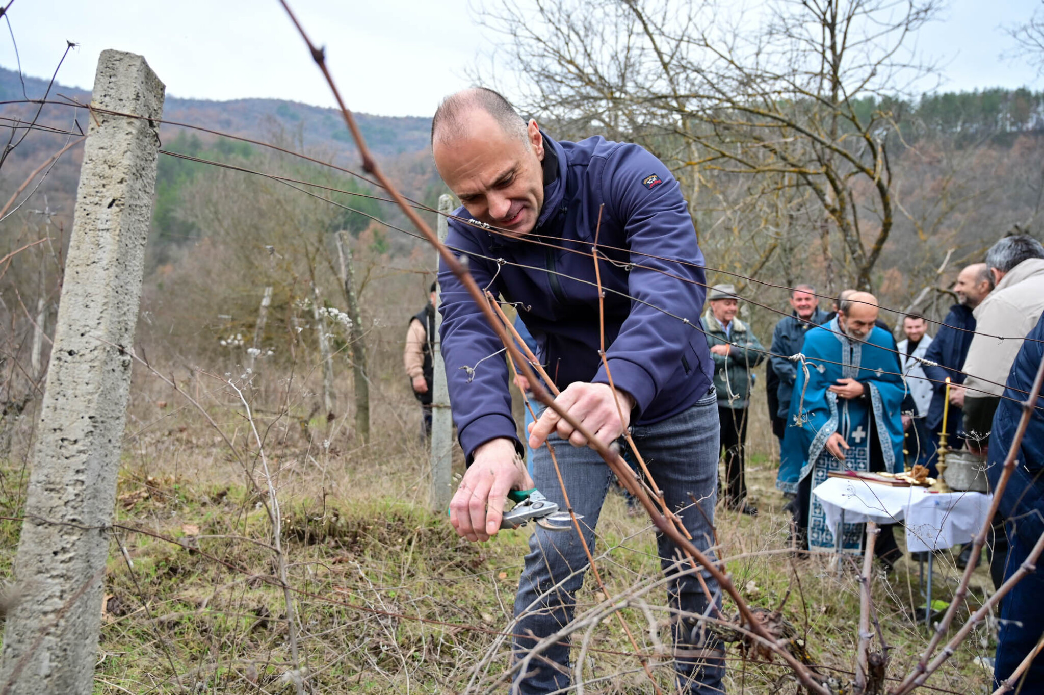 media-libraryjrdvm76dpg894skEoh6