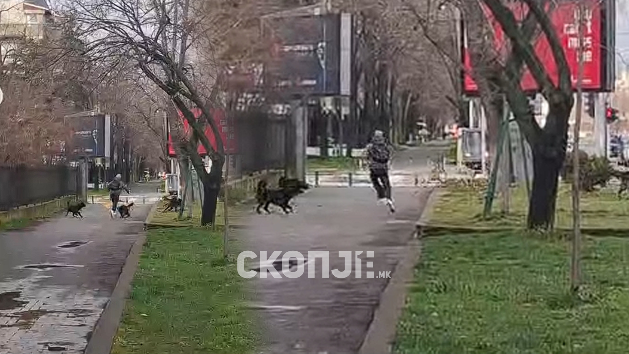 media-library1ed86h0hgj85cewYQzq