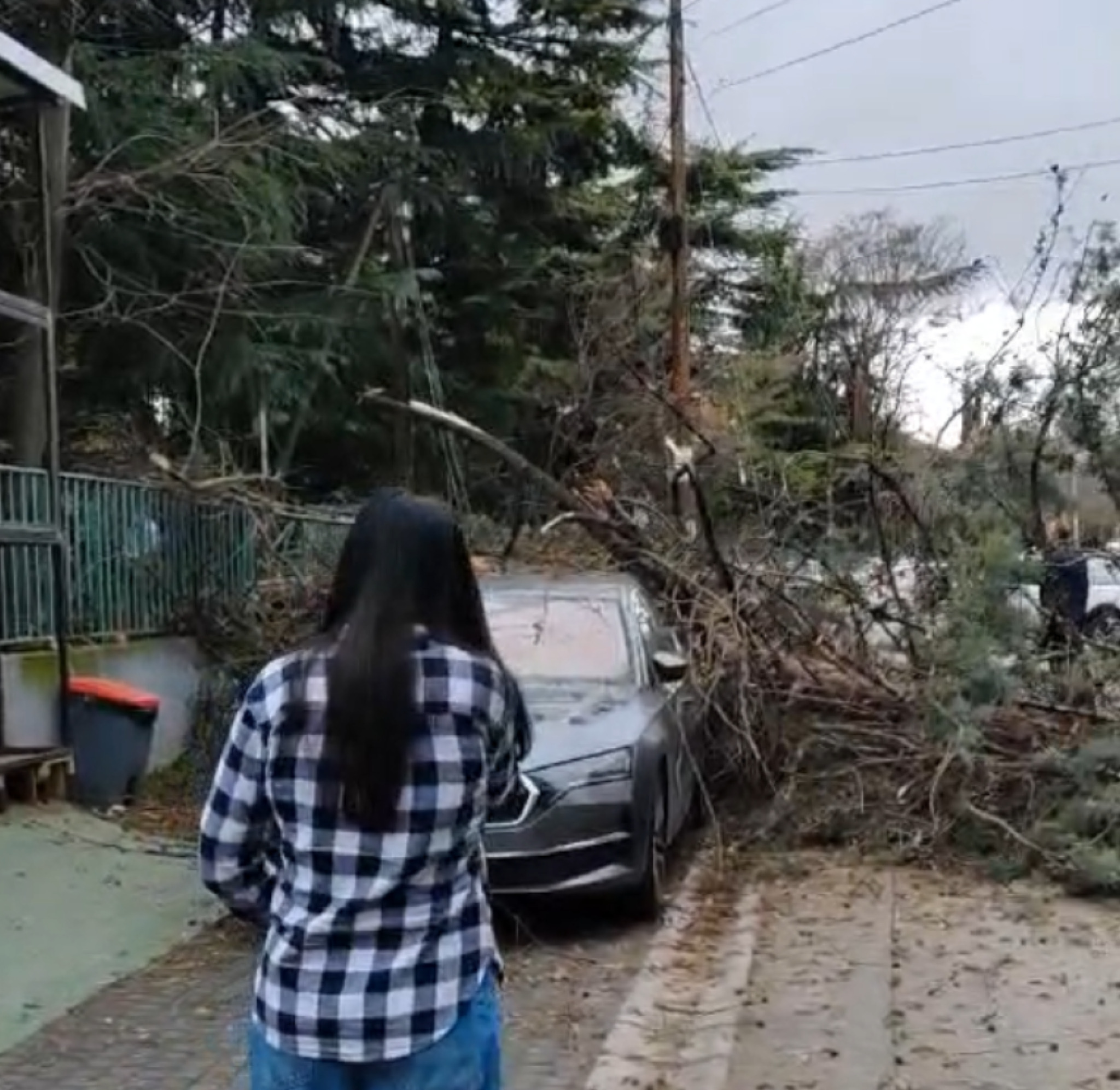 media-library6poa935mug0ffNt0zM2