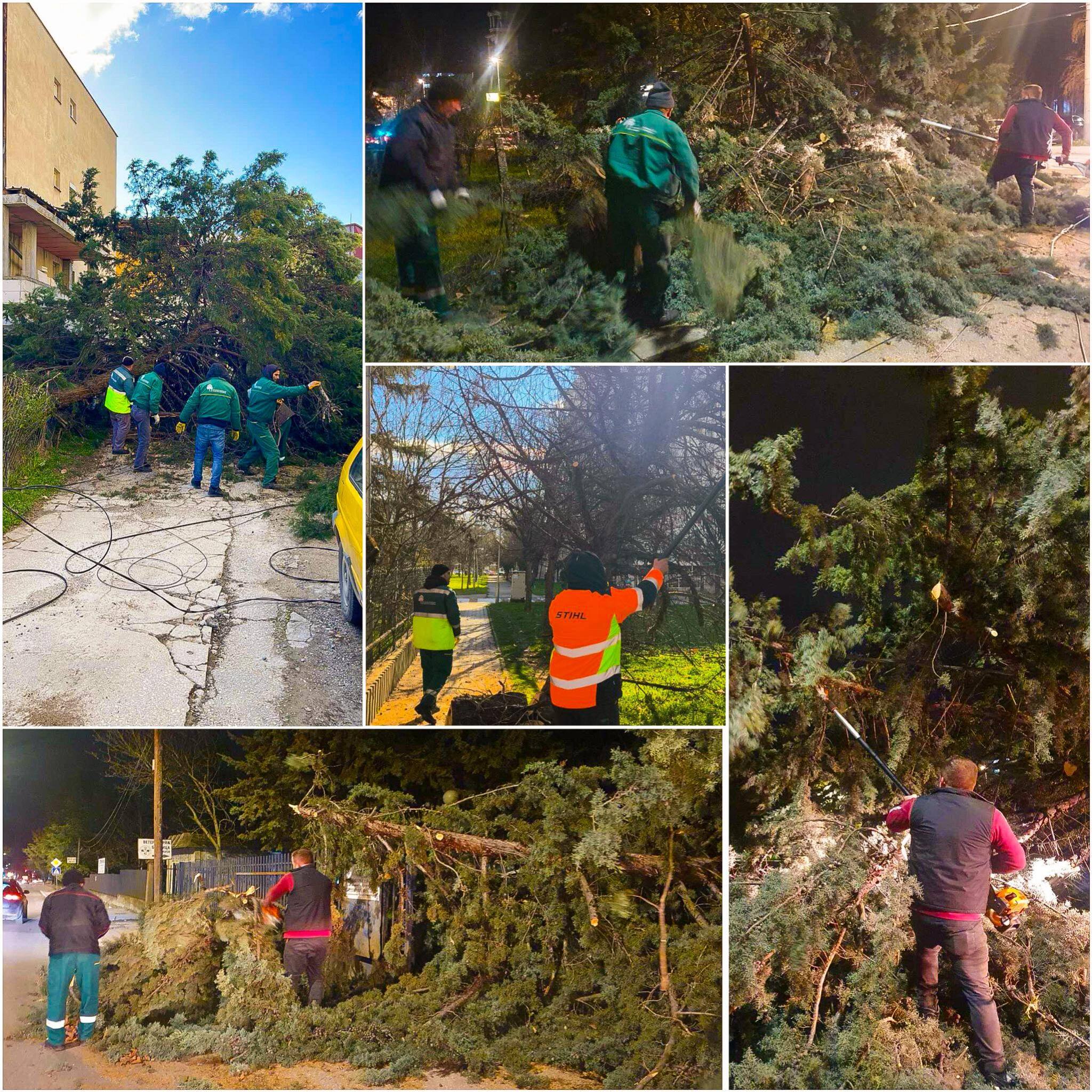 media-libraryu5g2hm4lho3b91VkXaw