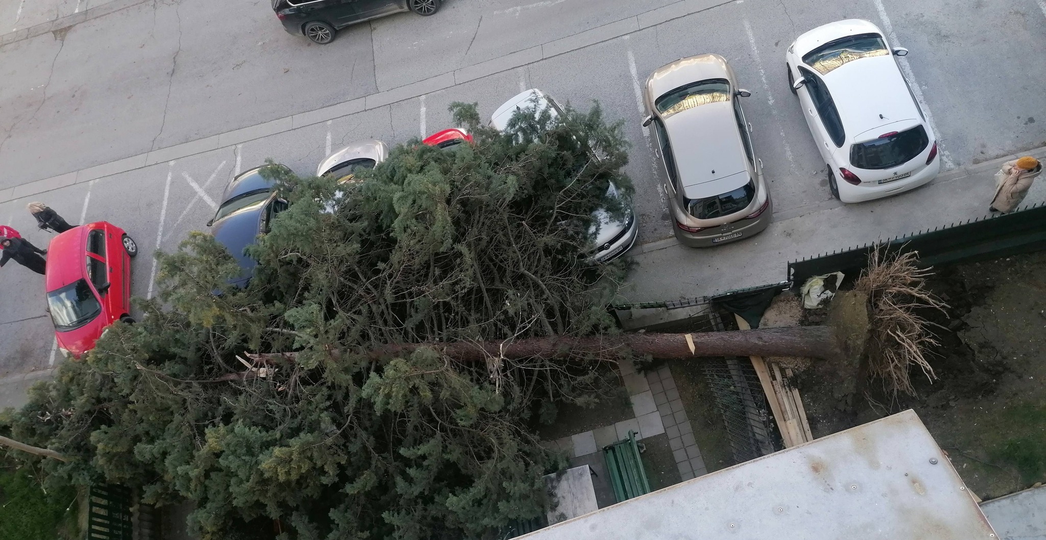 media-library6acva0gjnm298xoTrIe