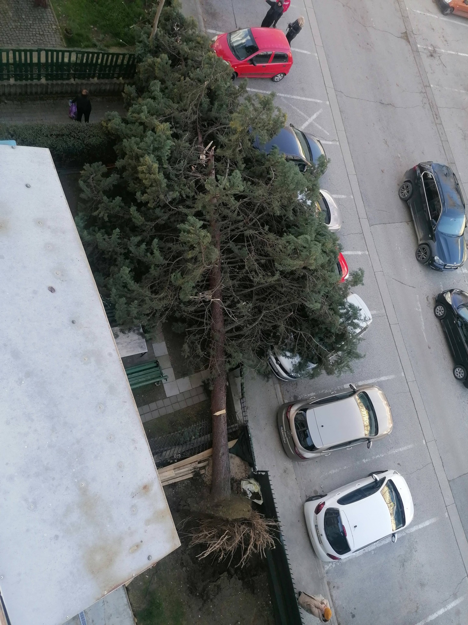 media-libraryq58riueikue87H6VTqR