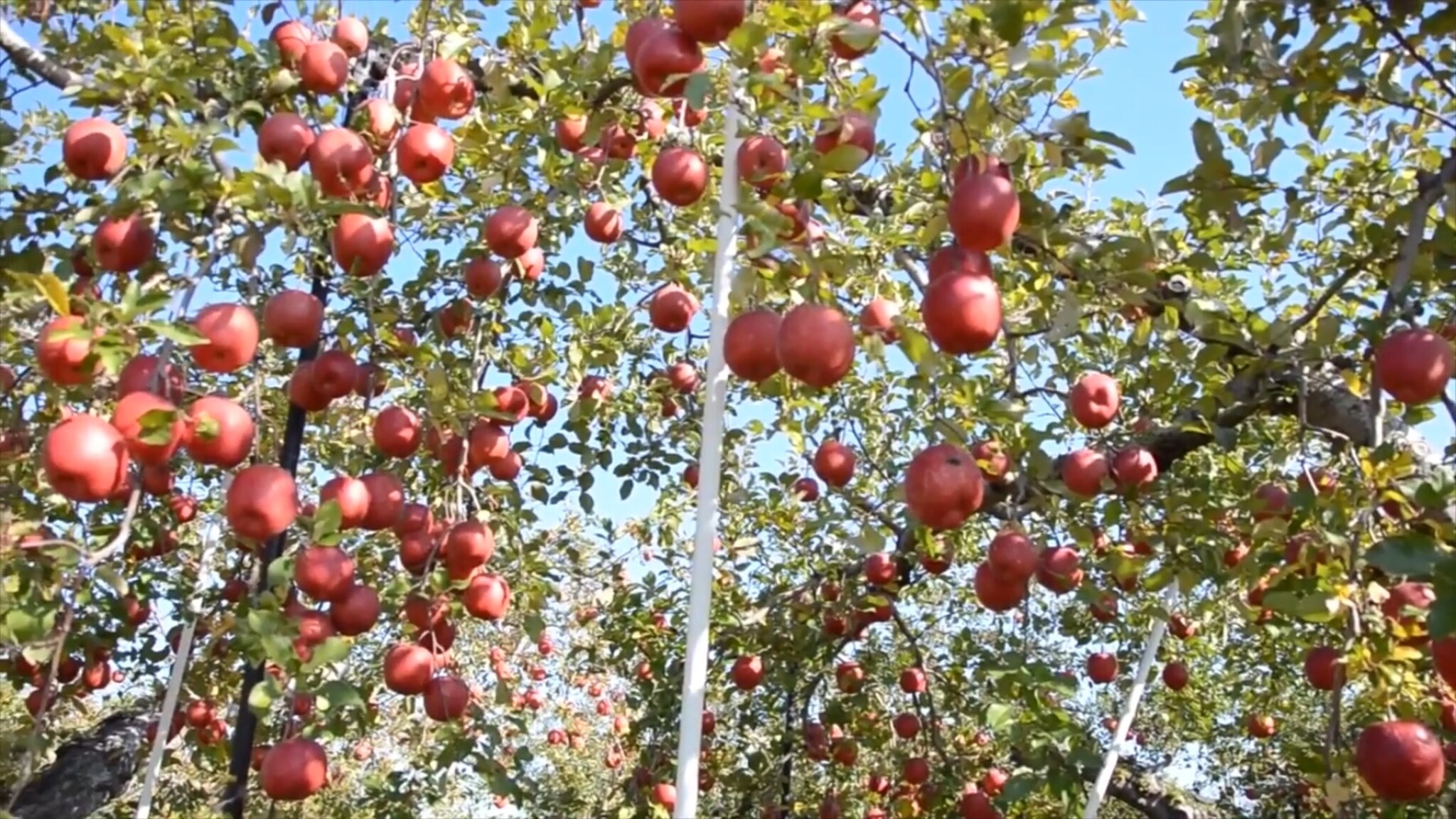 media-library754qfuetmlp04BF8Vmh