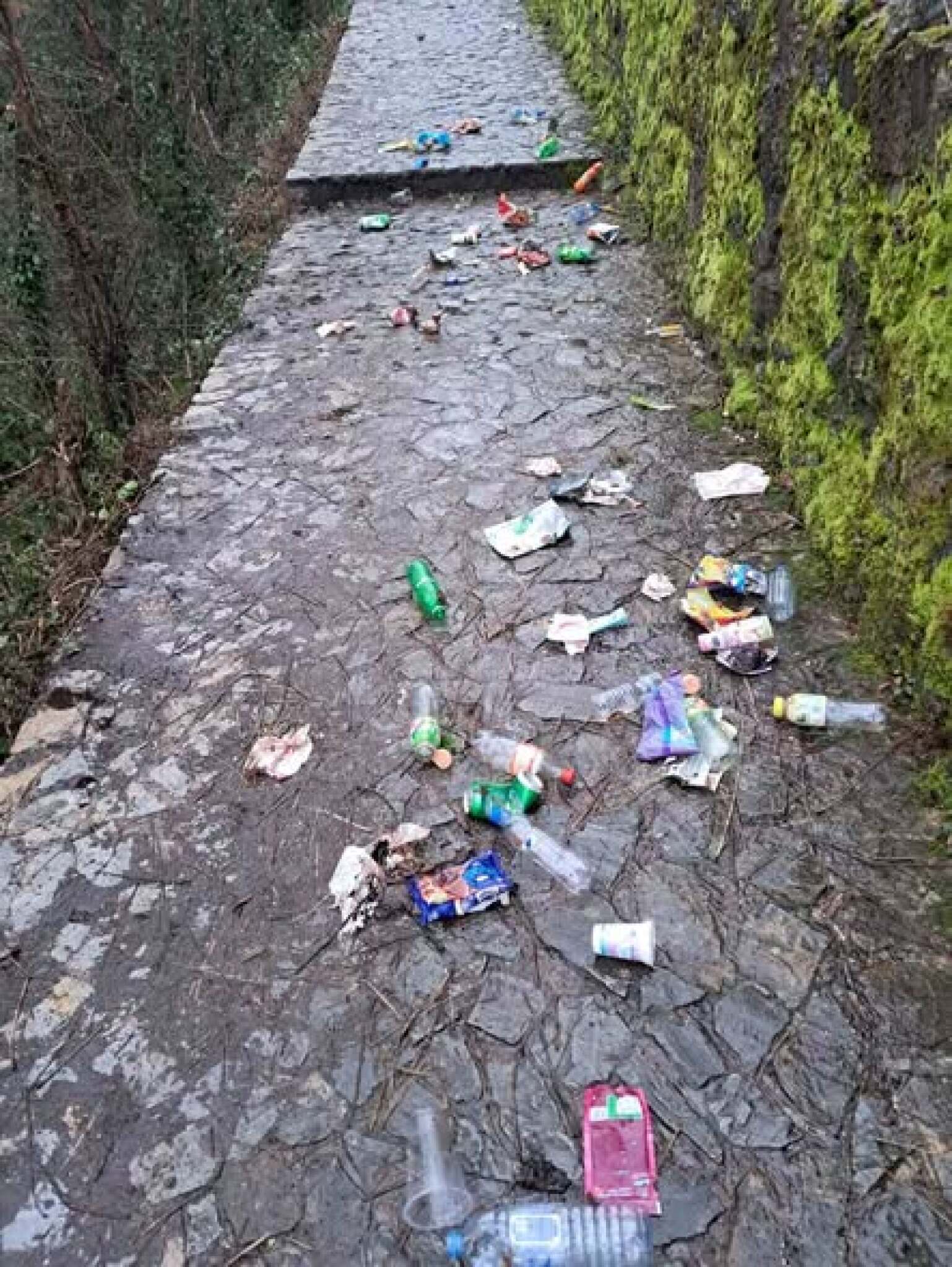 media-library53crsqm1kck32deeTEm