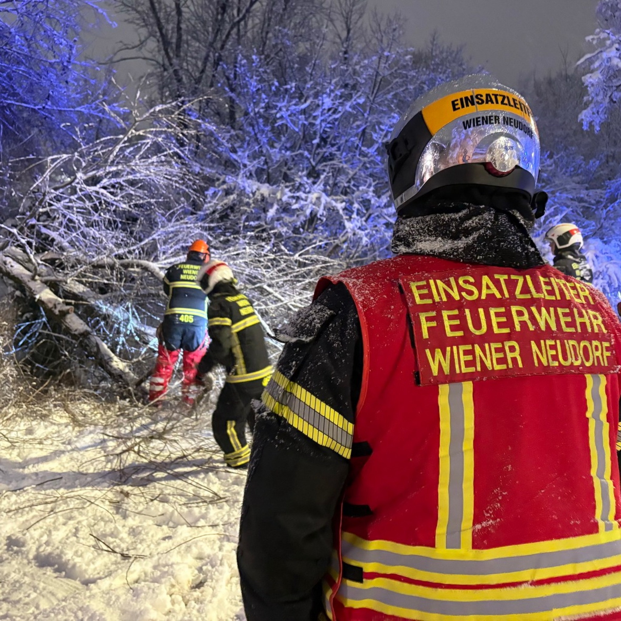 media-library5aitttq4841te3OOflm