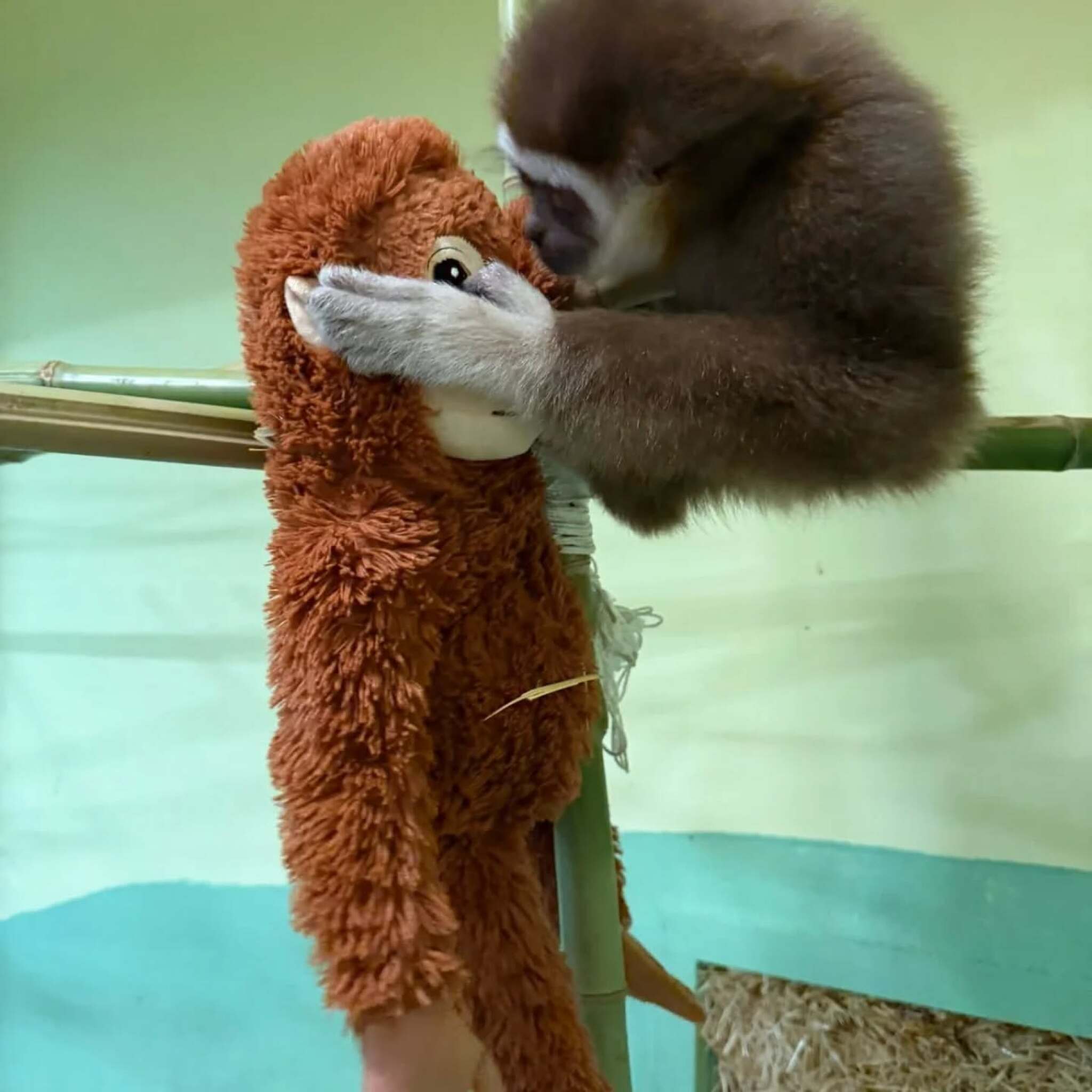 media-librarypfgdegkcevqh21DnvT9