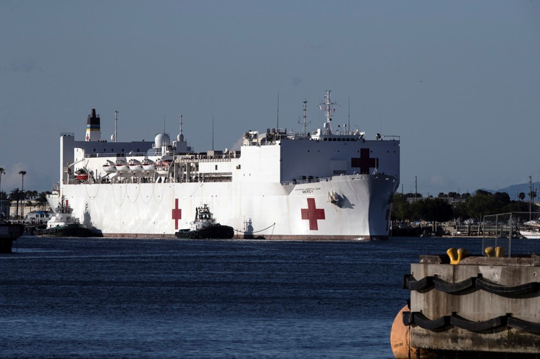 media-librarylecvva6g4jbq0dqq1qT