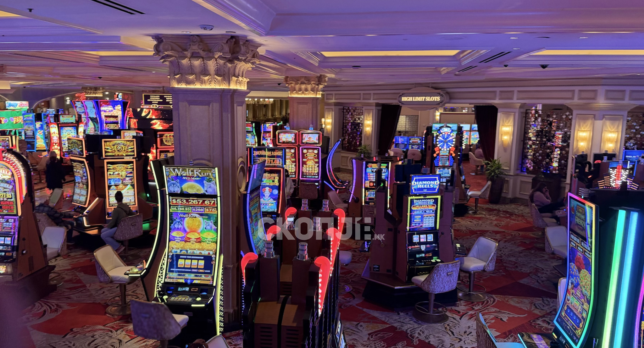 media-libraryje4t70hc48pc3Jj6dl6