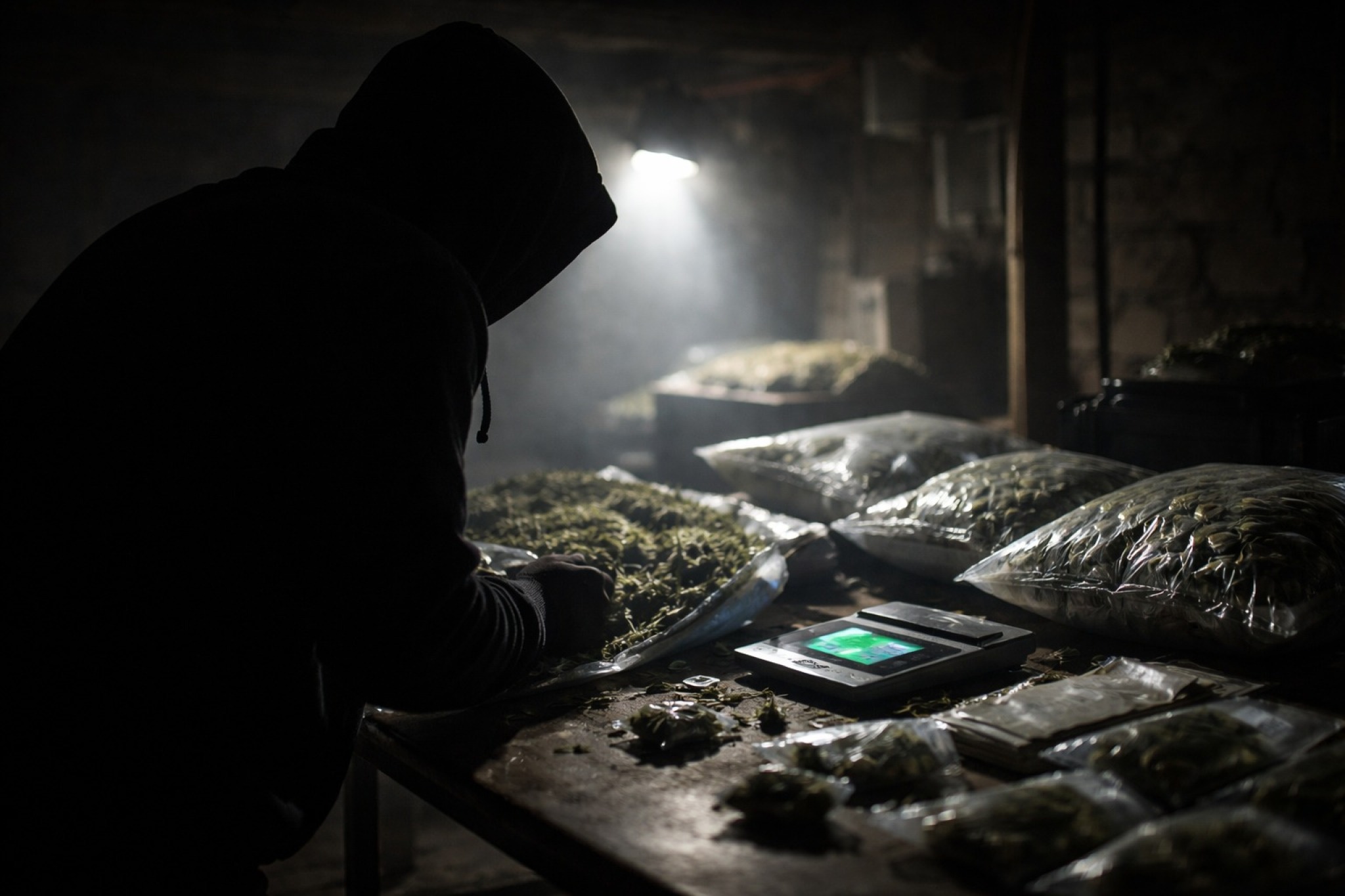 media-libraryaev9d1539lgu0ICQfw6