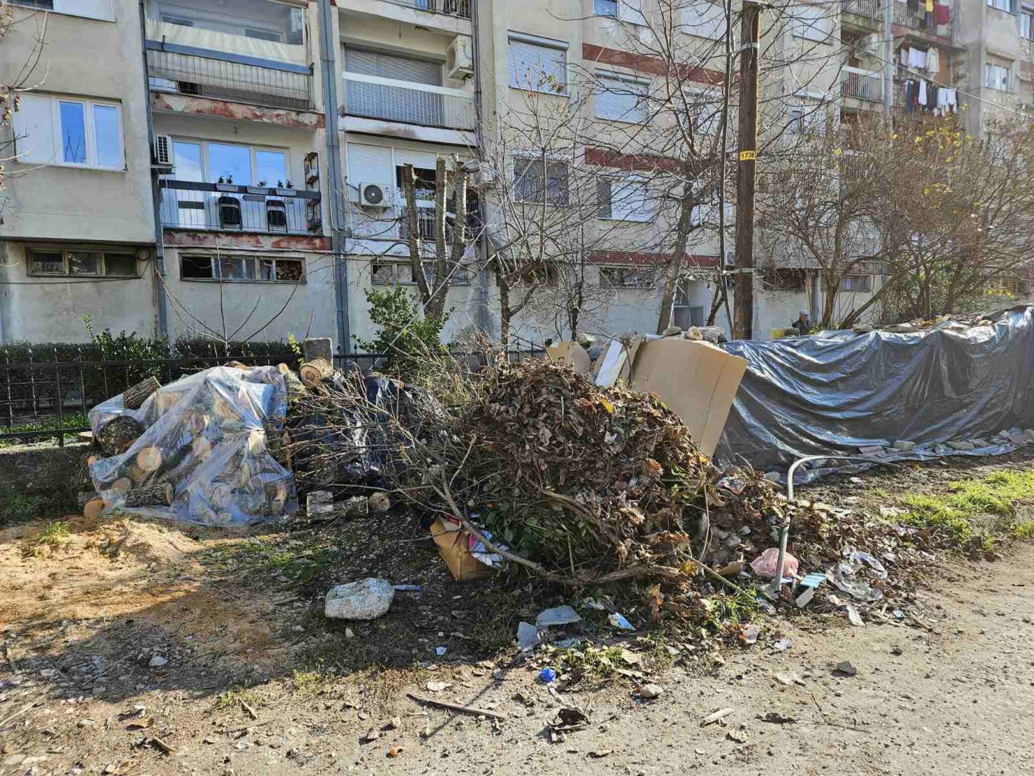 media-librarytn8dqmtstehhaUyiQyx