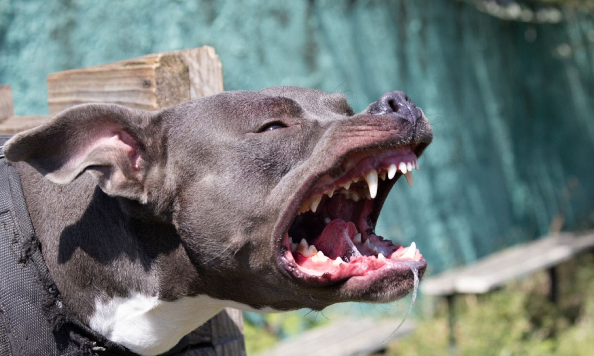 media-library0v8tvhl0a60haOSQ0HT