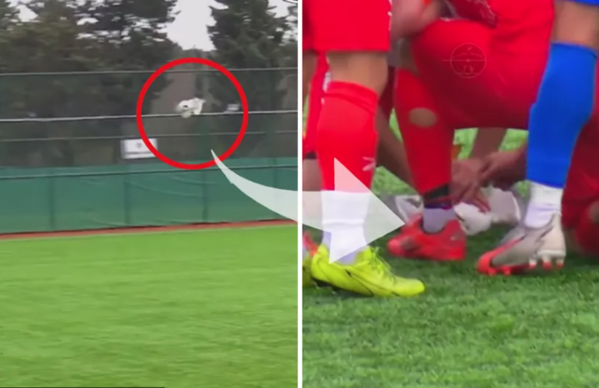 media-libraryg0g67t8fikq8czbUtxZ