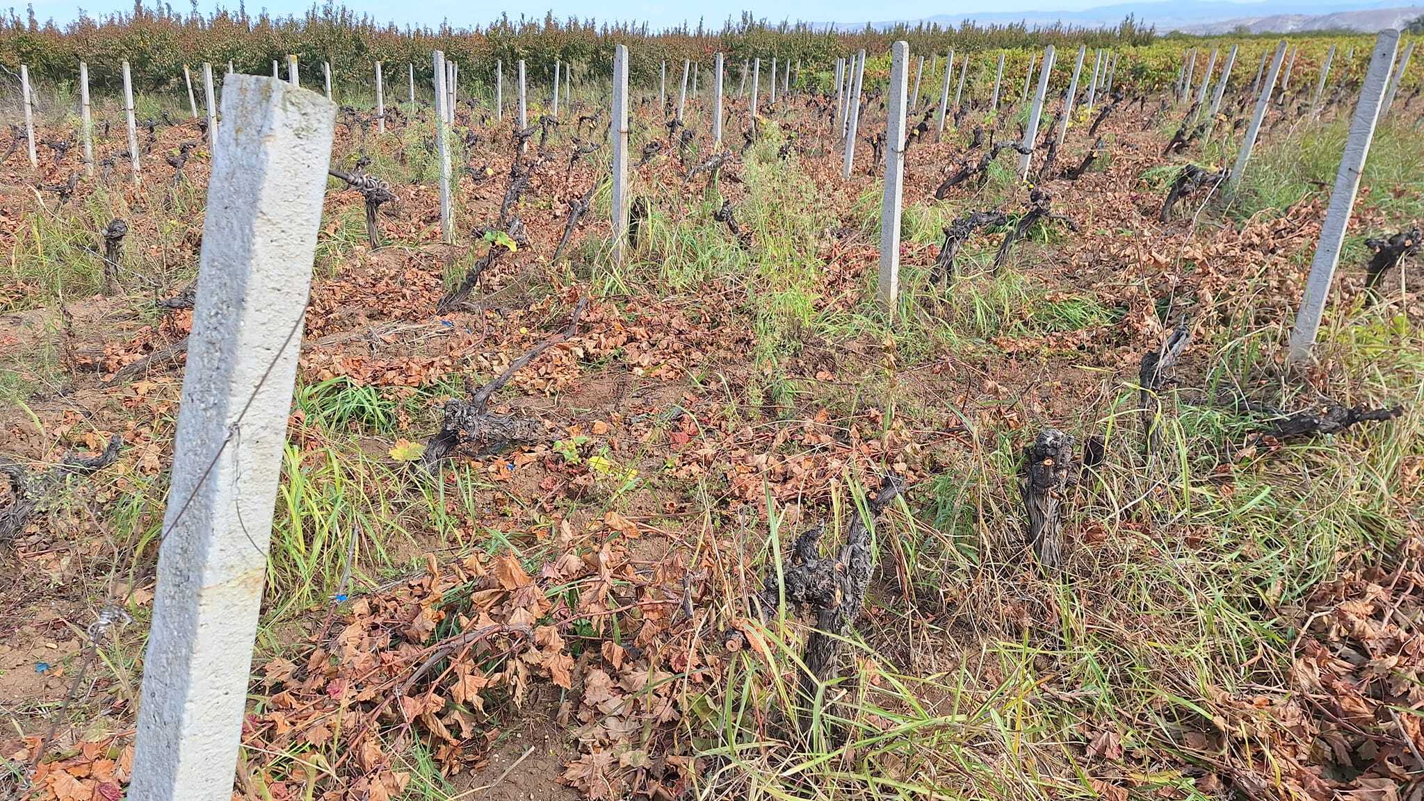 media-library3lt6g504b9j74Y6RLKl