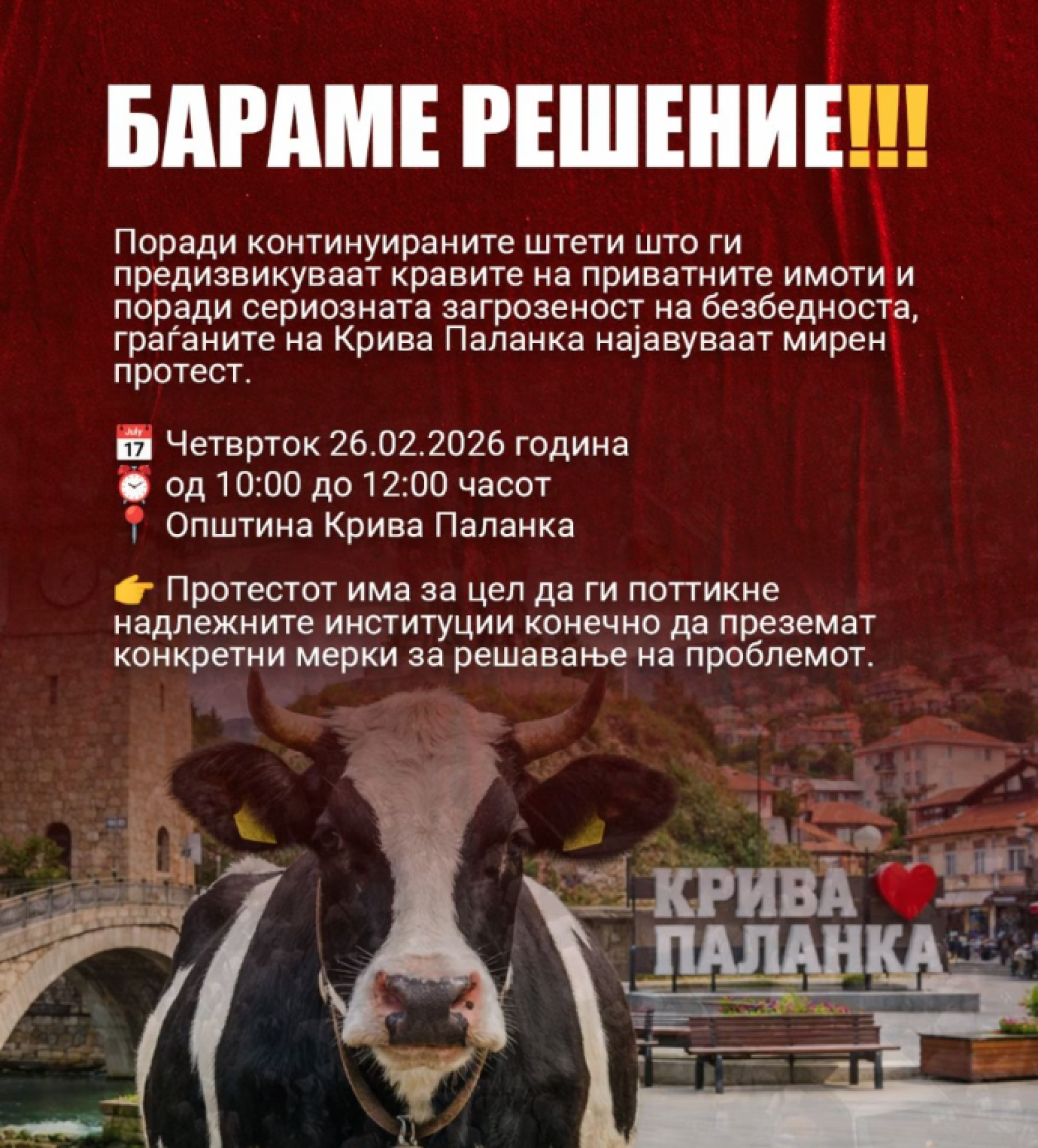 media-libraryjpfcqsuajk8o44rGMLW