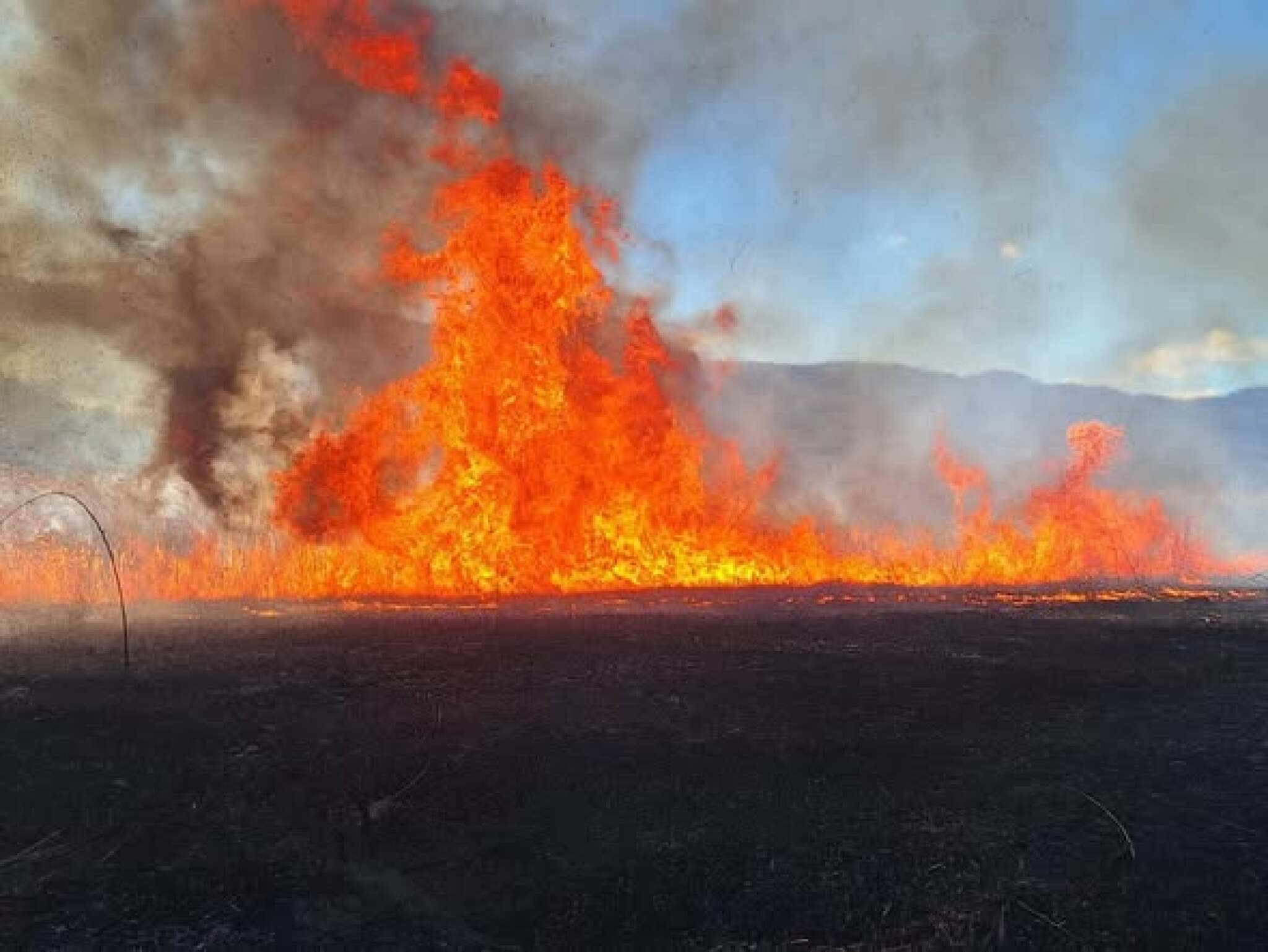 media-library4qnle6opj8409zutyob