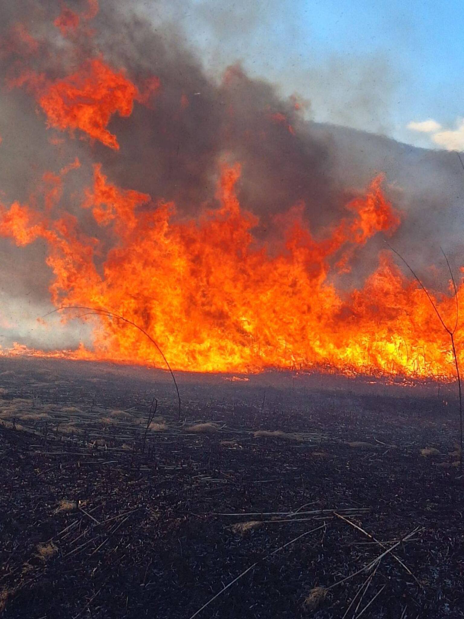 media-libraryj87mdn8gvm3se3Q8vwm