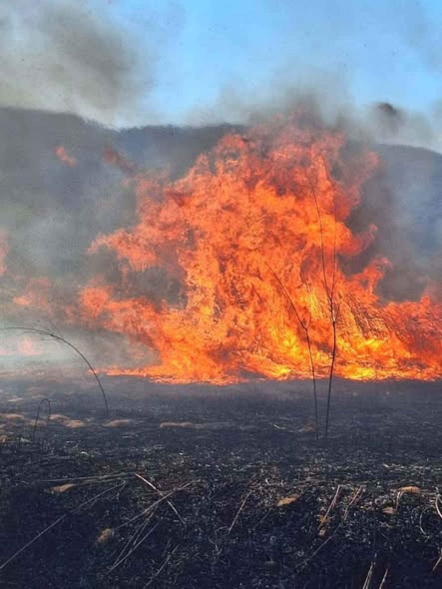 media-library2ovetcmg9eas3kDcXGO