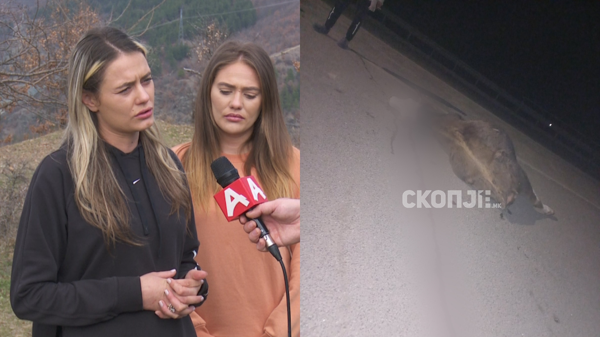 media-library66beptcd7osj6m6S36j