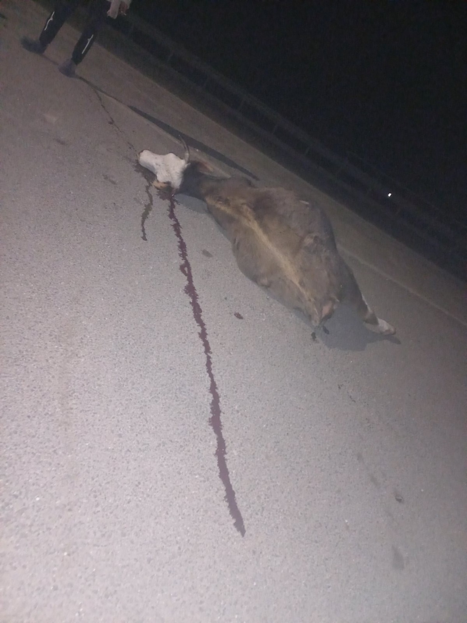 media-librarytti7lvg100660mVytoy