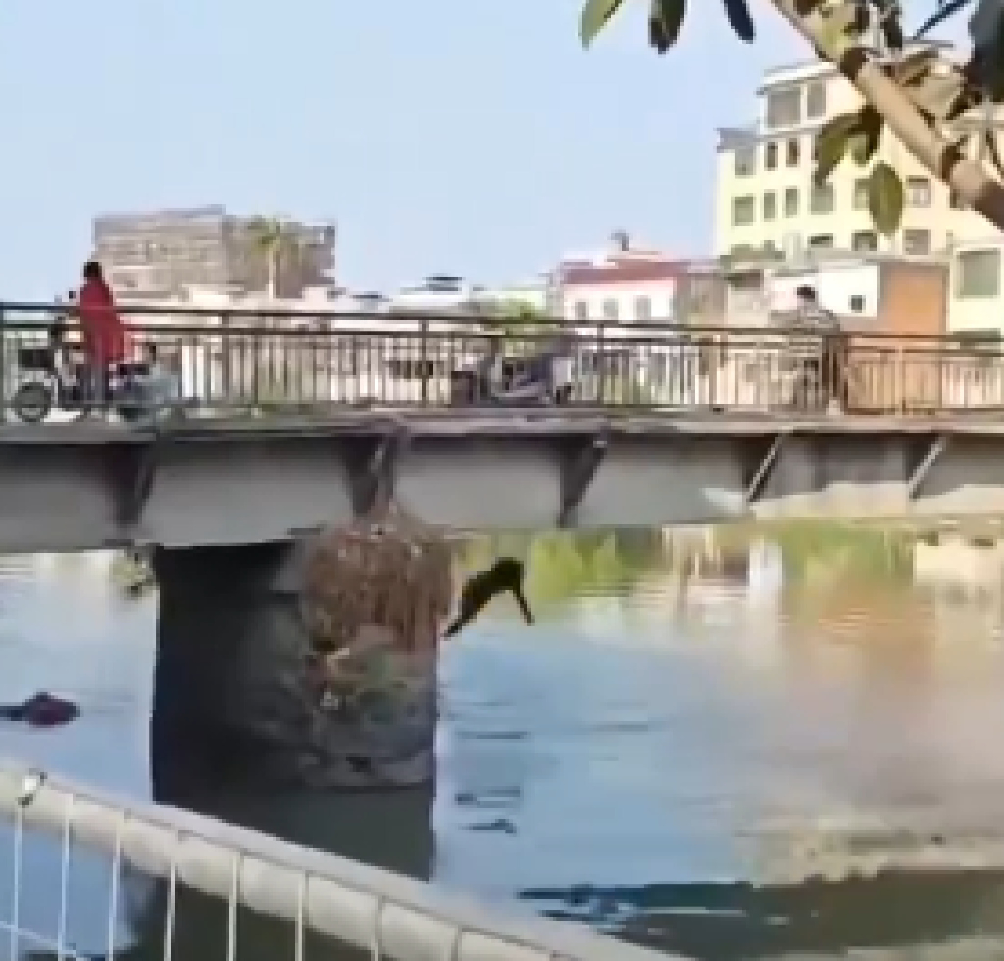 media-libraryjhupjas531a00KLF3bm