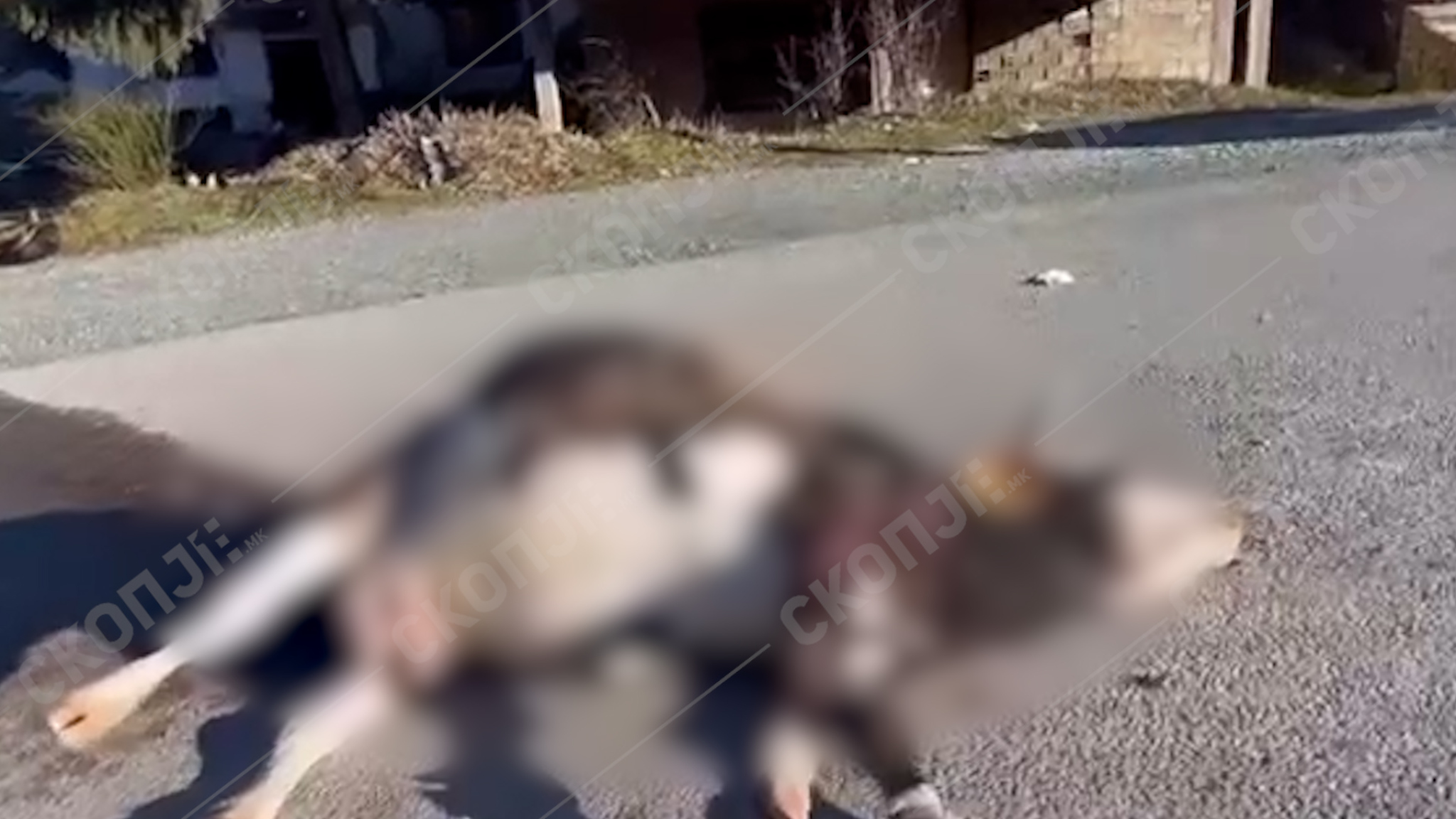 media-libraryl18i55hhhglr0NEt3XO