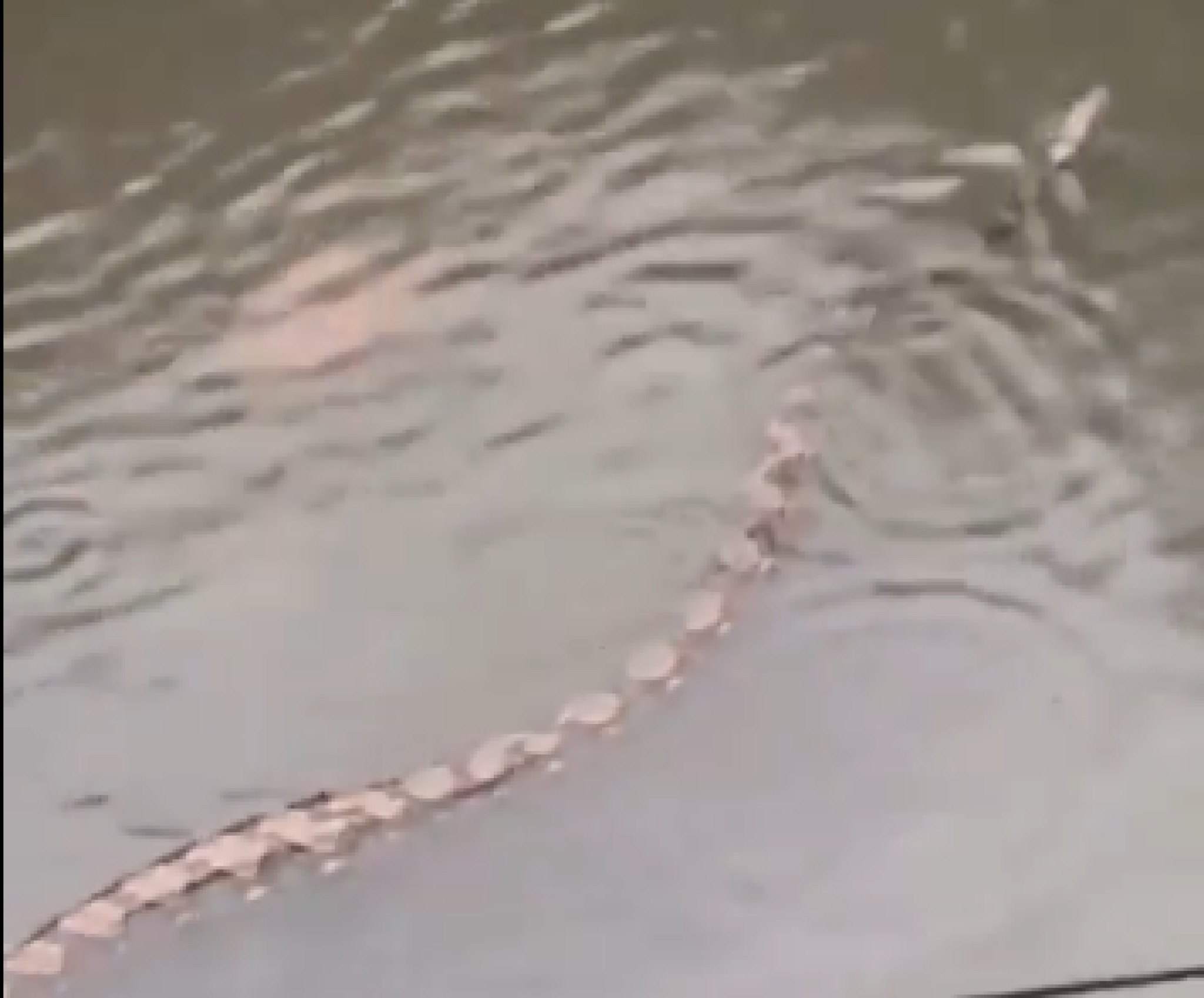 media-libraryvqhfbjj54j0c3hE2wU8