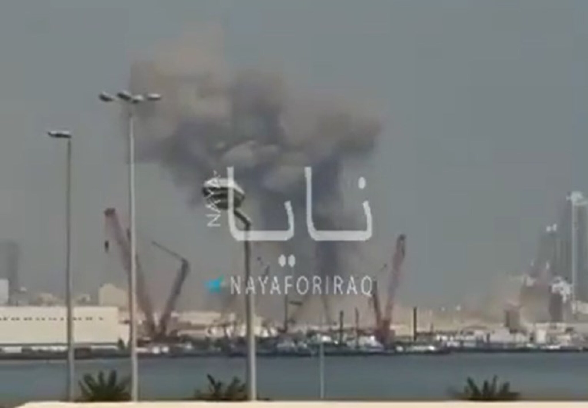 media-library3mf1rfgug4m892xXuoE