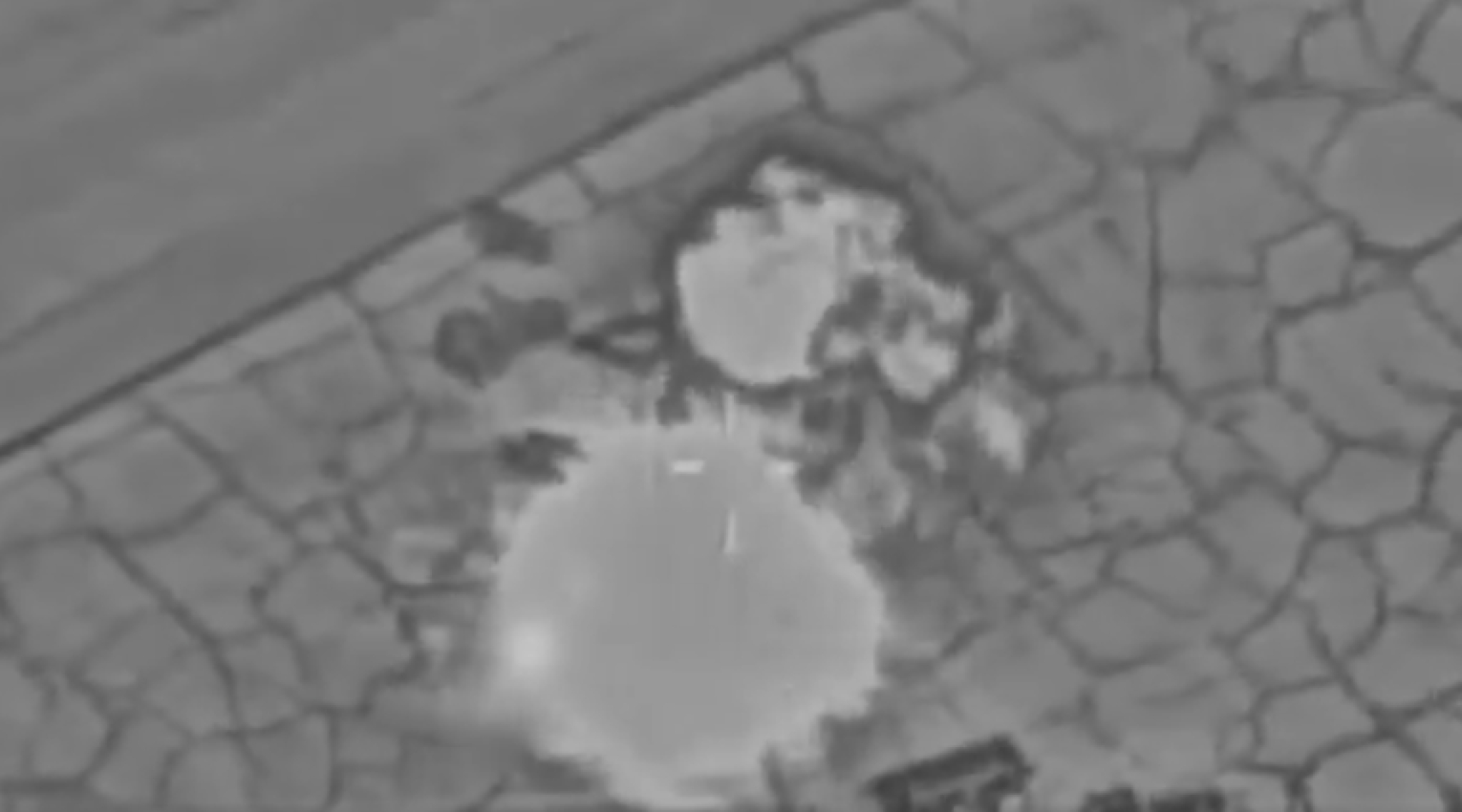 media-library73c5nbf64hhu5OIqELC