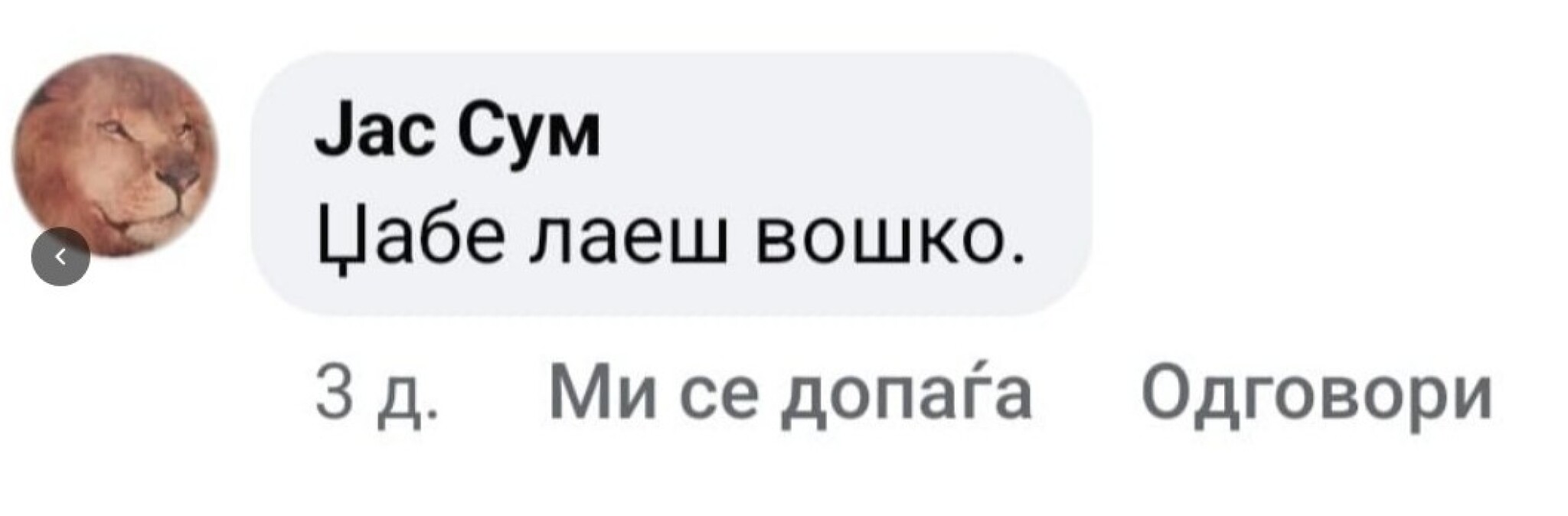 media-library4hv85528srhp0dTaSLV