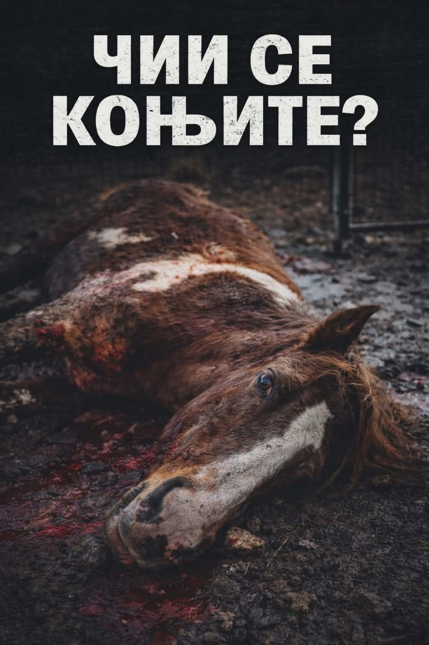 media-library3oo007s5qjd9frBrrzW