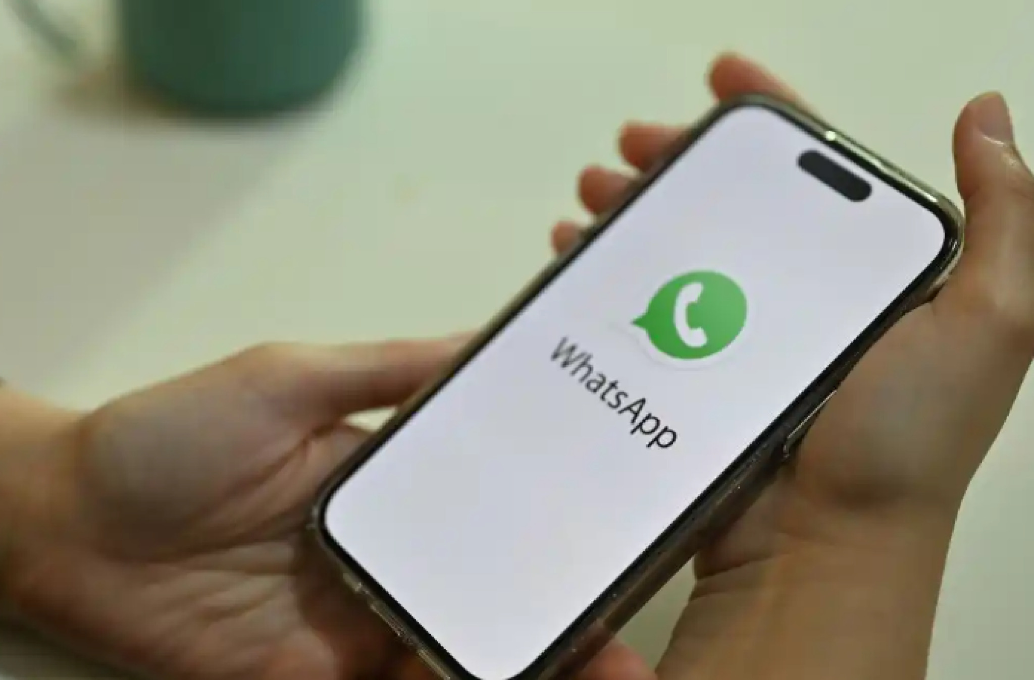 media-libraryogsm52megssjcd1T306