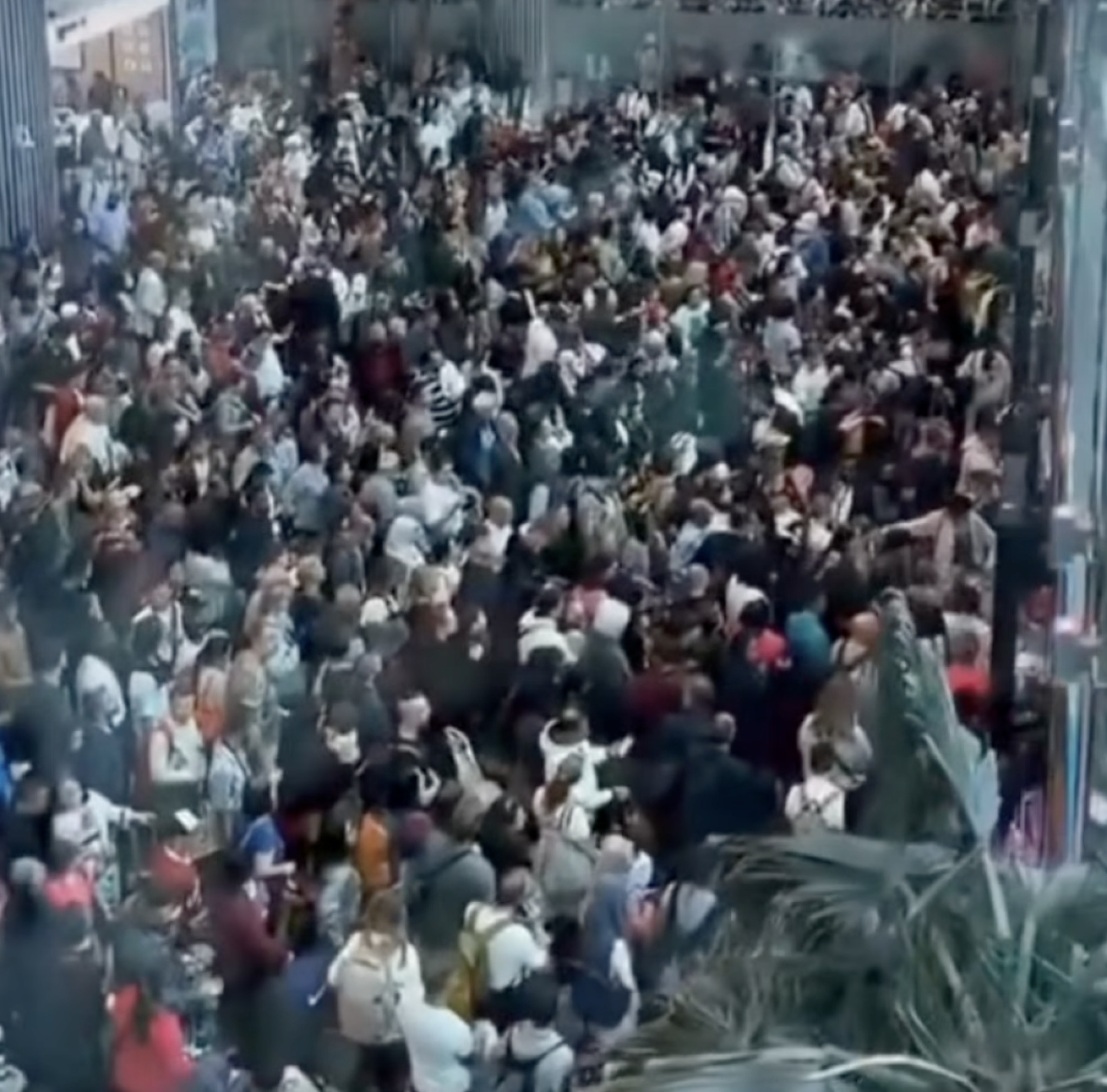 media-libraryah68sat8j4fr2cvJh9Q