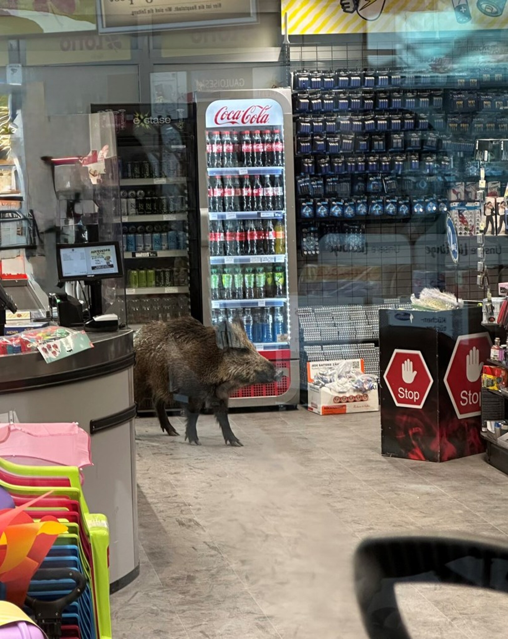 media-libraryogaali0g23vn92Im3cy