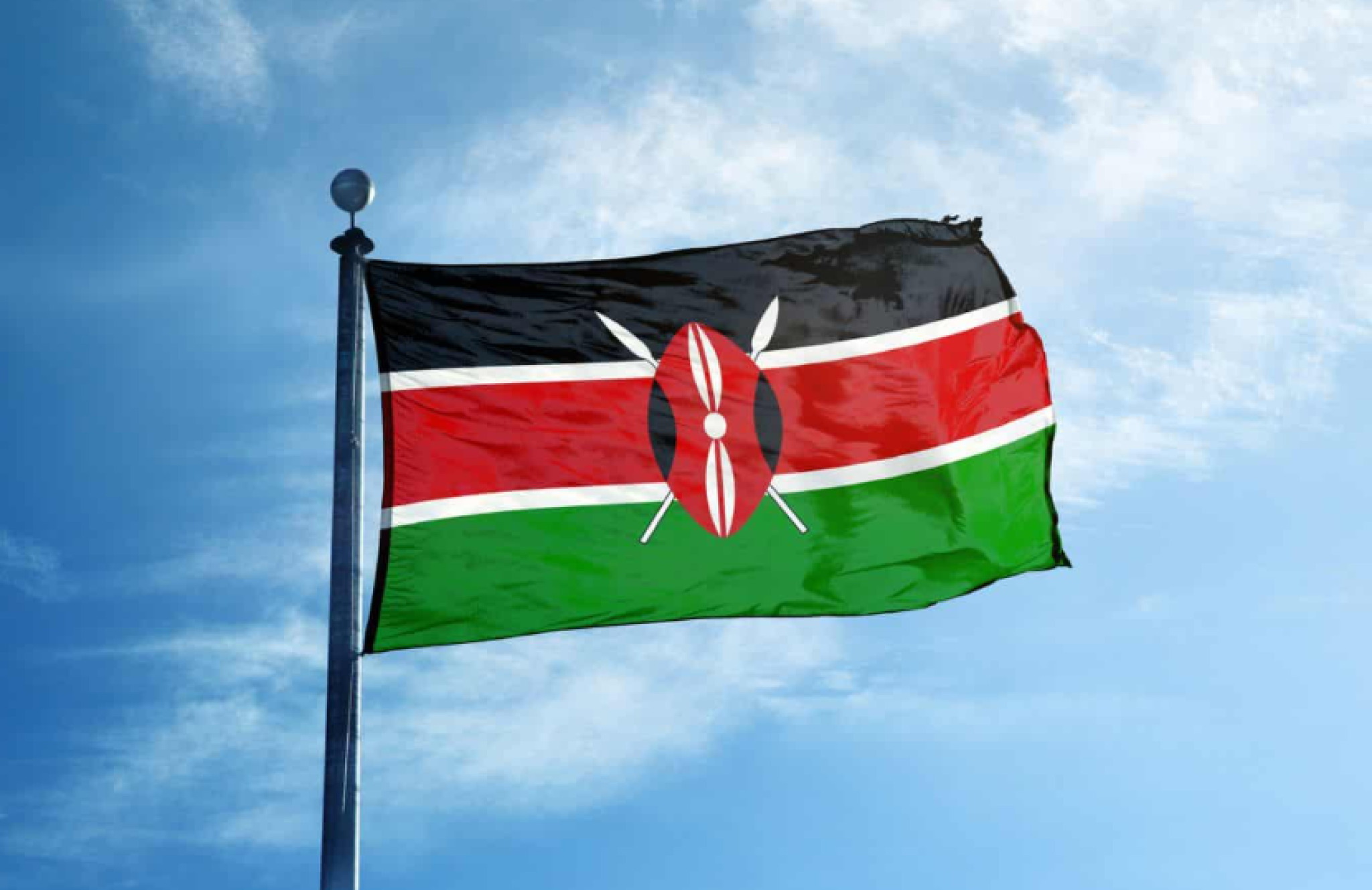 media-librarylo6mbq3msm8k0t955k0